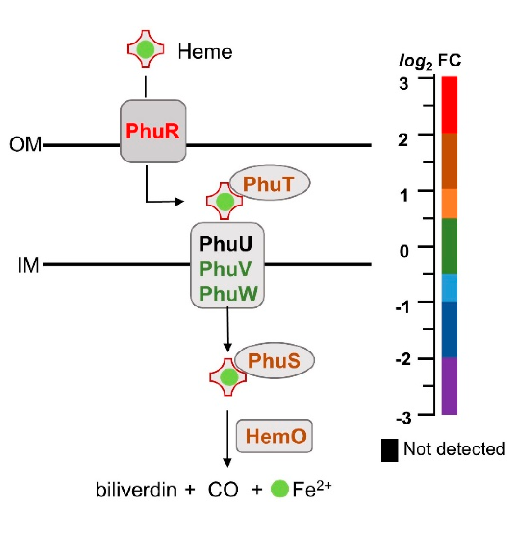 Pathogens 09 00980 g005 Pathogens 09 00980 g005