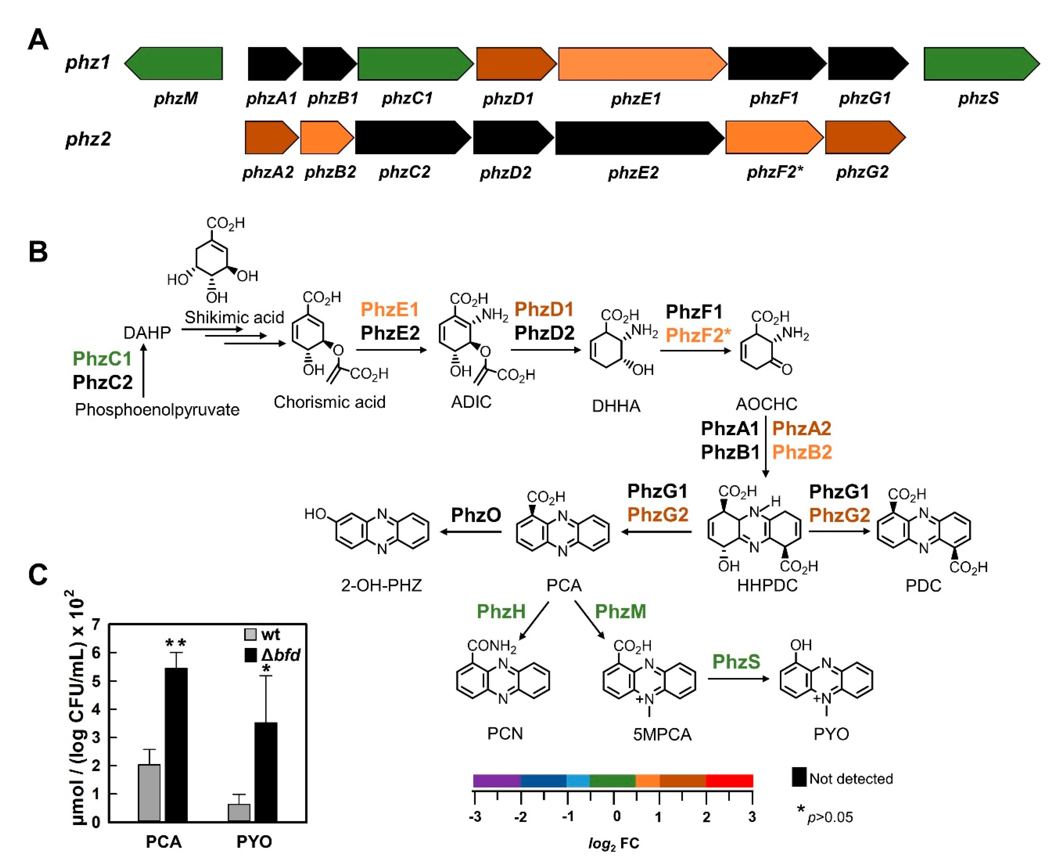 Pathogens 09 00980 g007 Pathogens 09 00980 g007