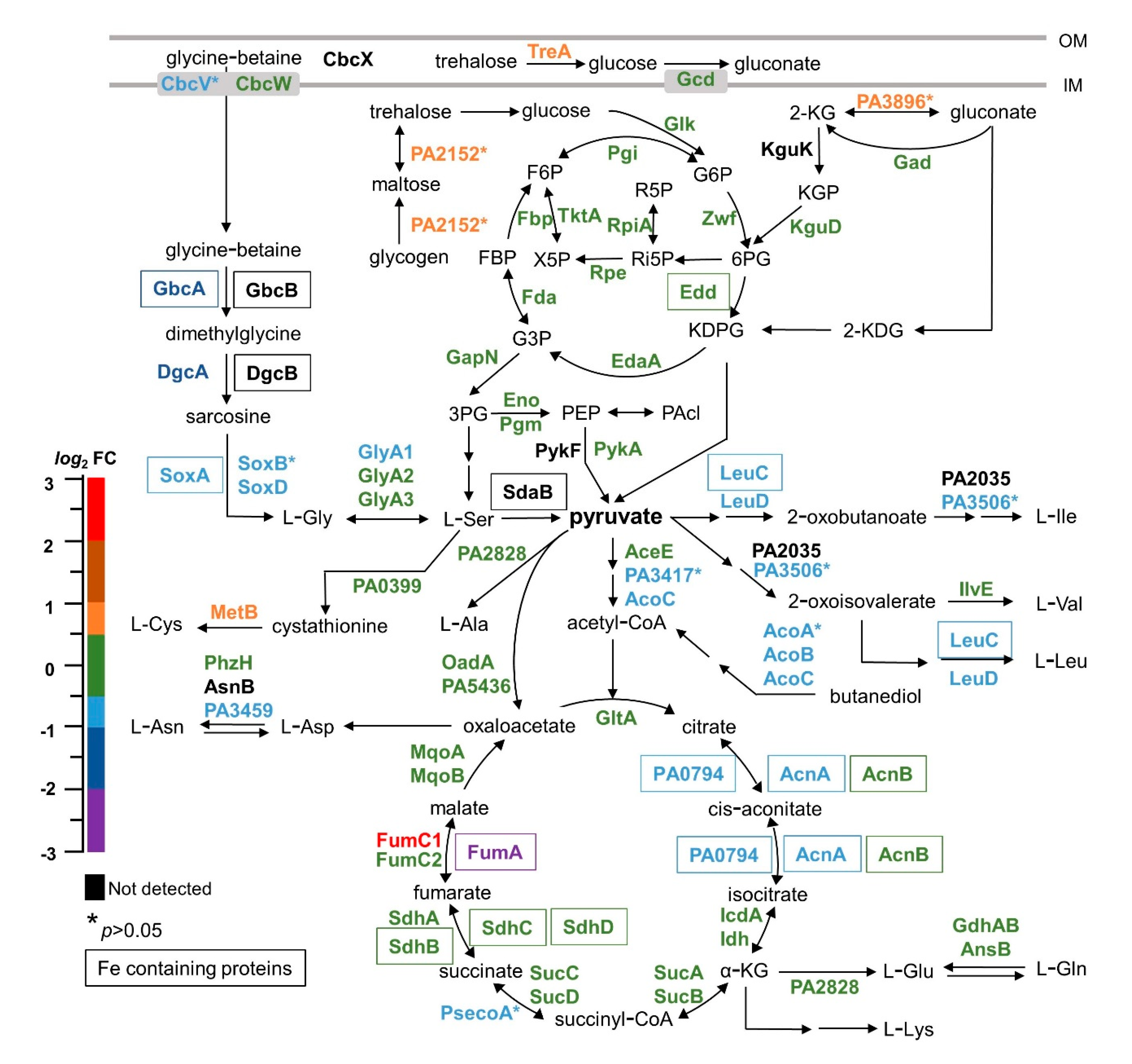 Pathogens 09 00980 g008 Pathogens 09 00980 g008