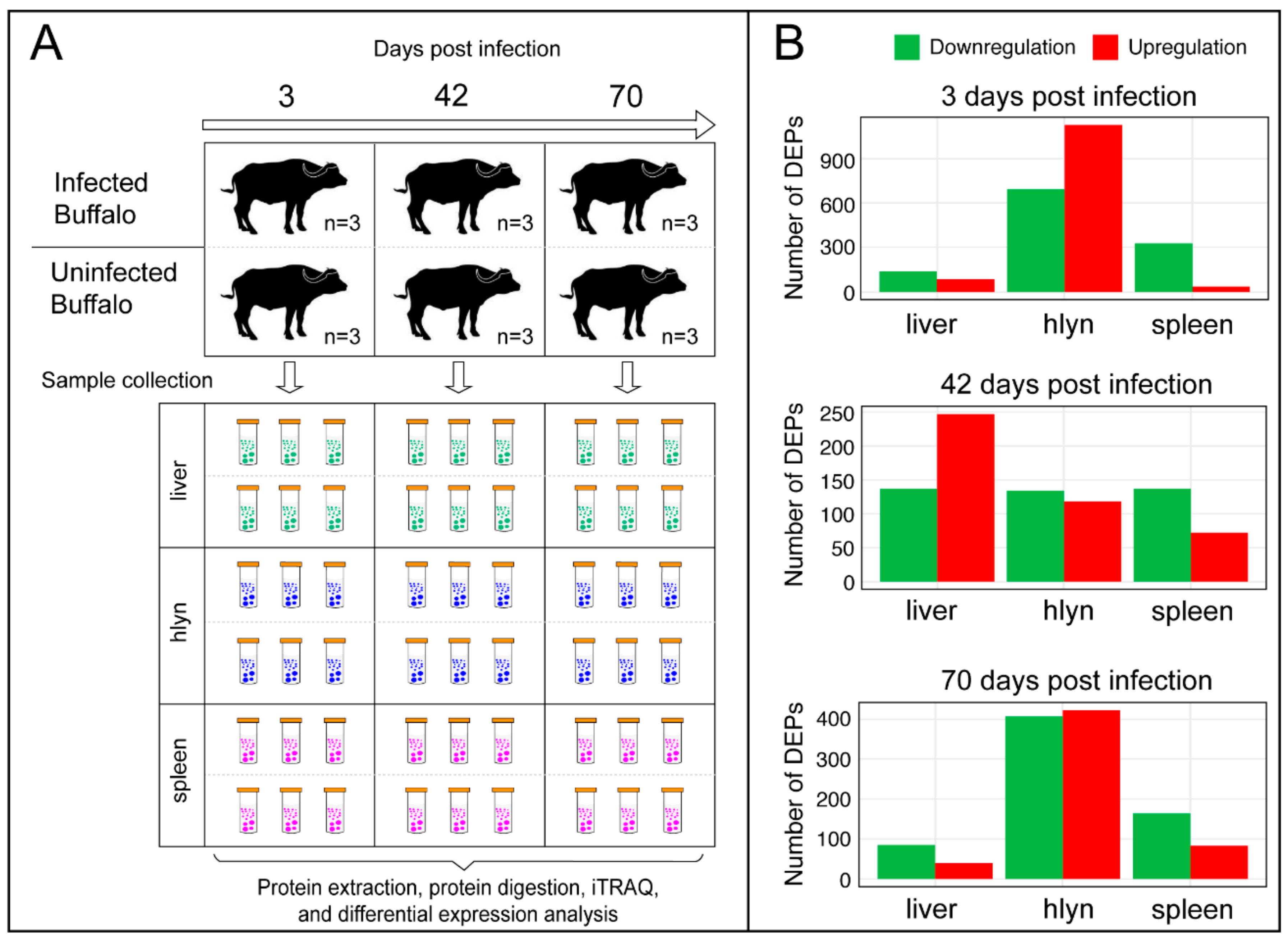 Pathogens 09 00982 g001 Pathogens 09 00982 g001