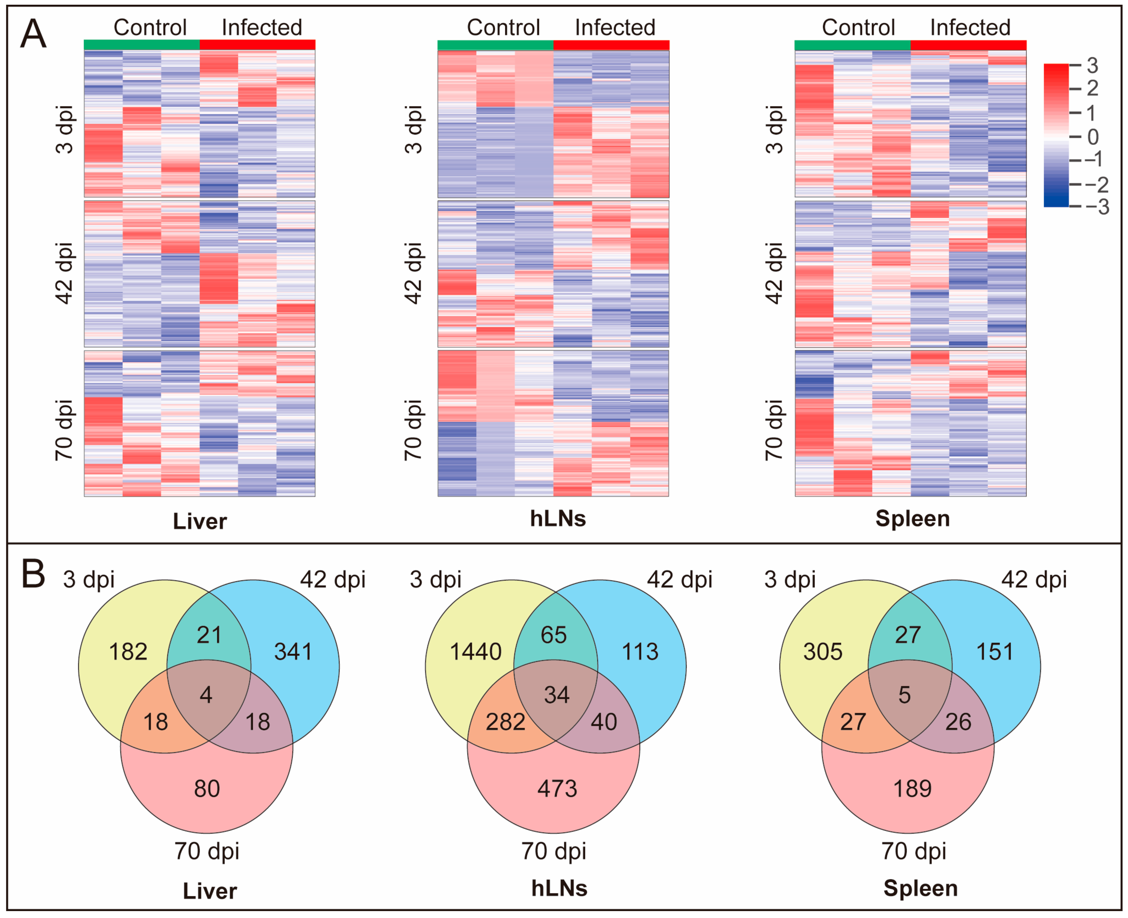 Pathogens 09 00982 g002 Pathogens 09 00982 g002