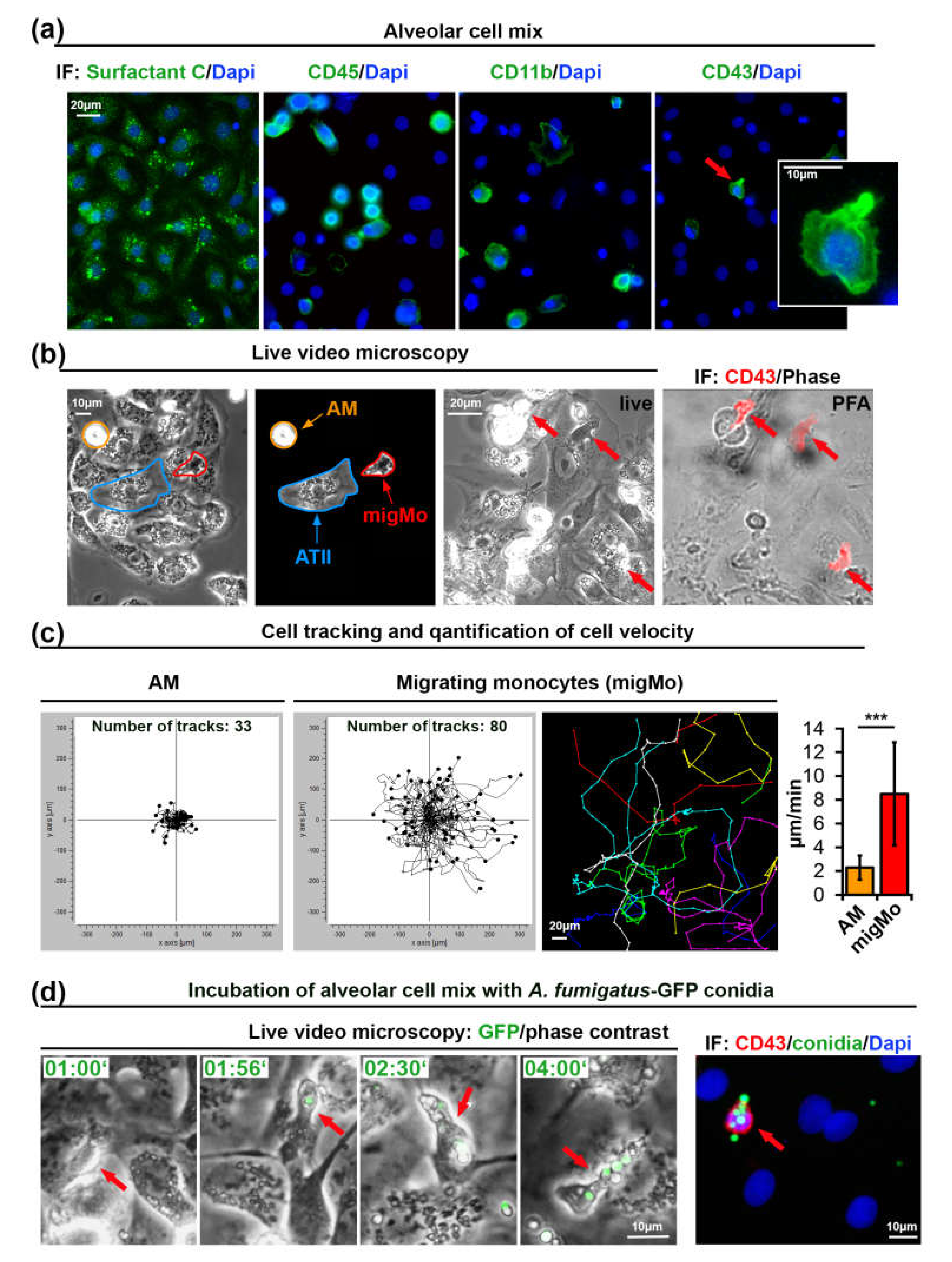 Pathogens 09 00983 g001 Pathogens 09 00983 g001
