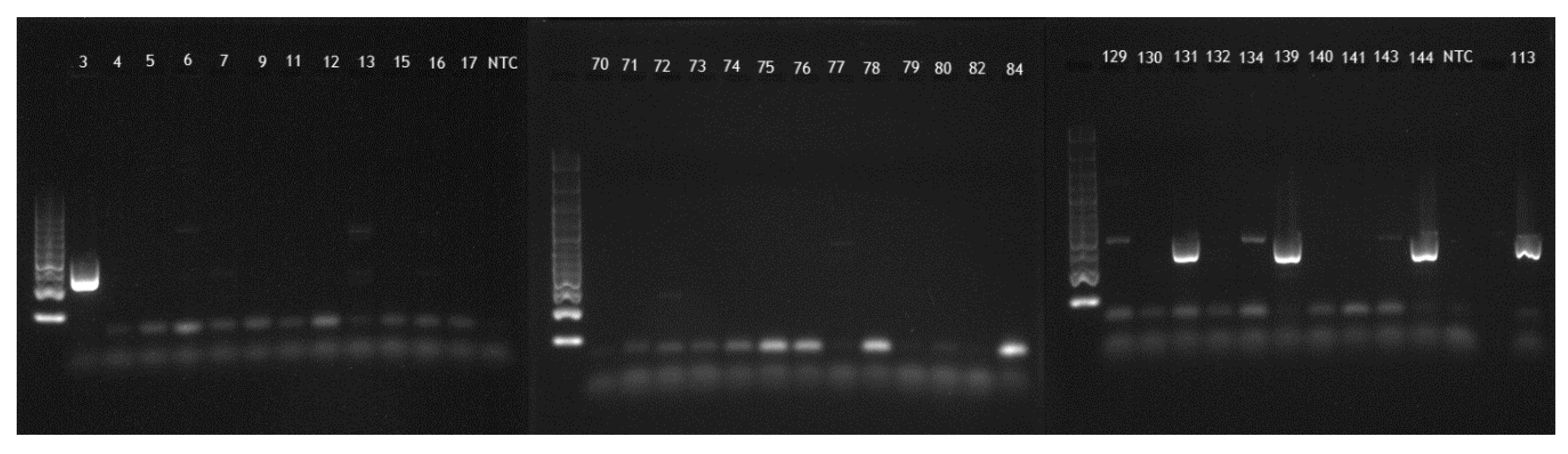 Pathogens 09 01022 g002