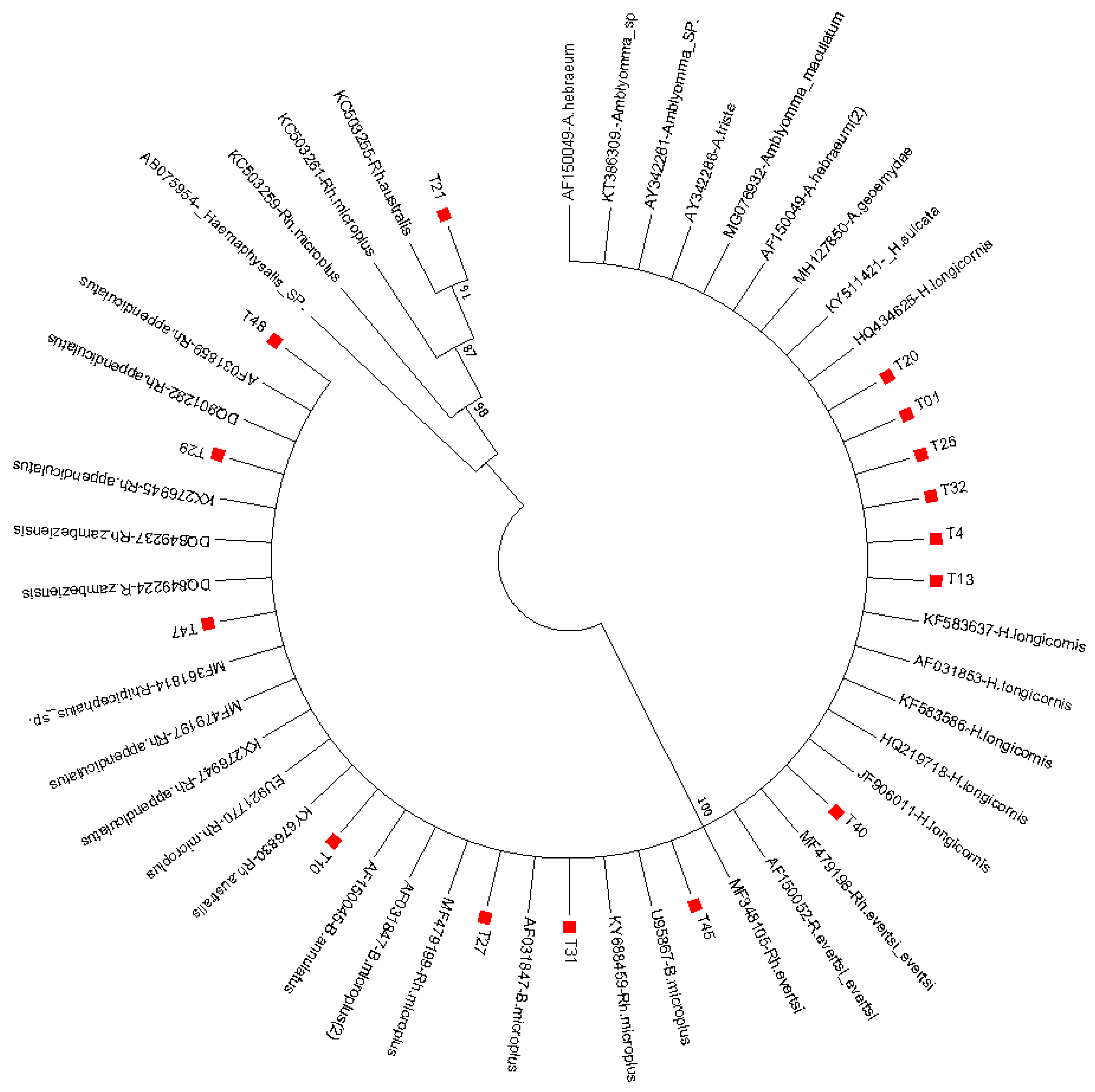 Pathogens 09 01061 g003