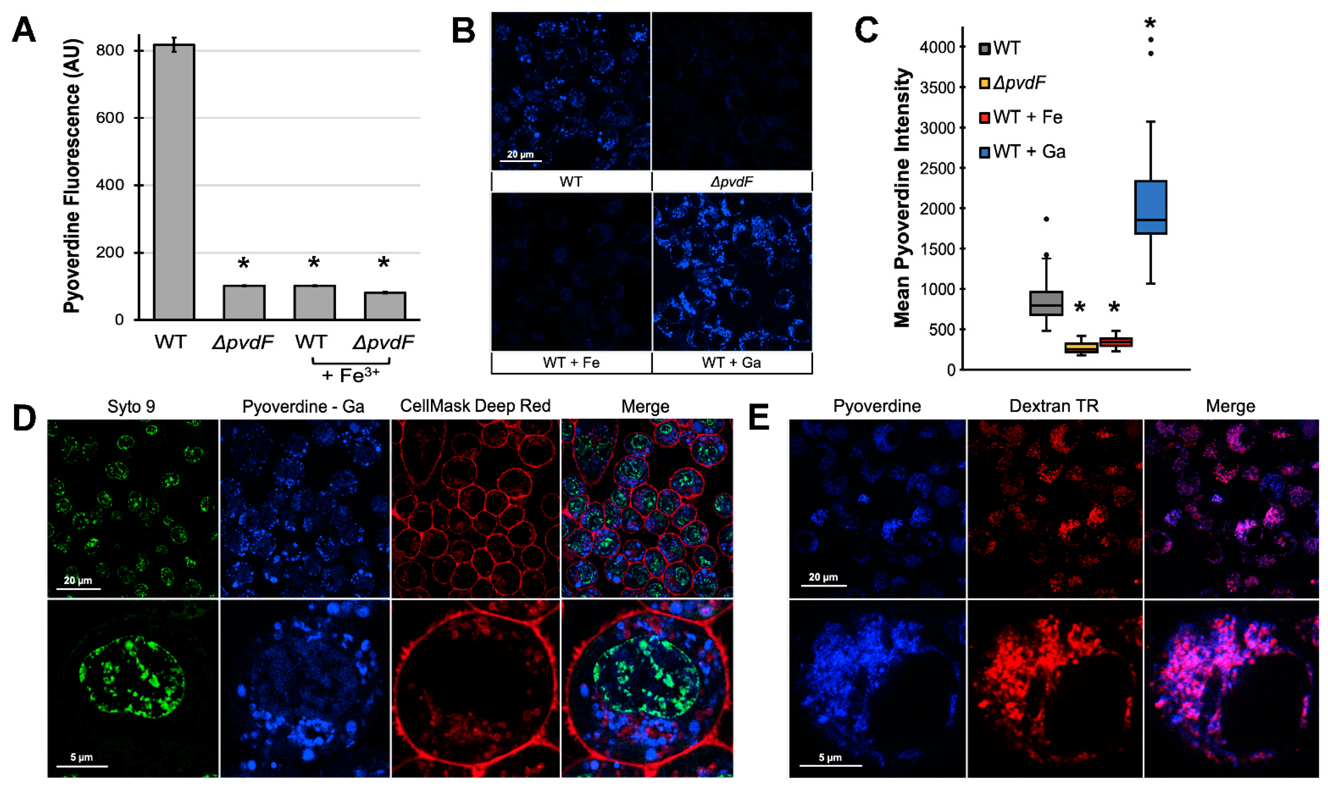Pathogens 10 00009 g002 Pathogens 10 00009 g002