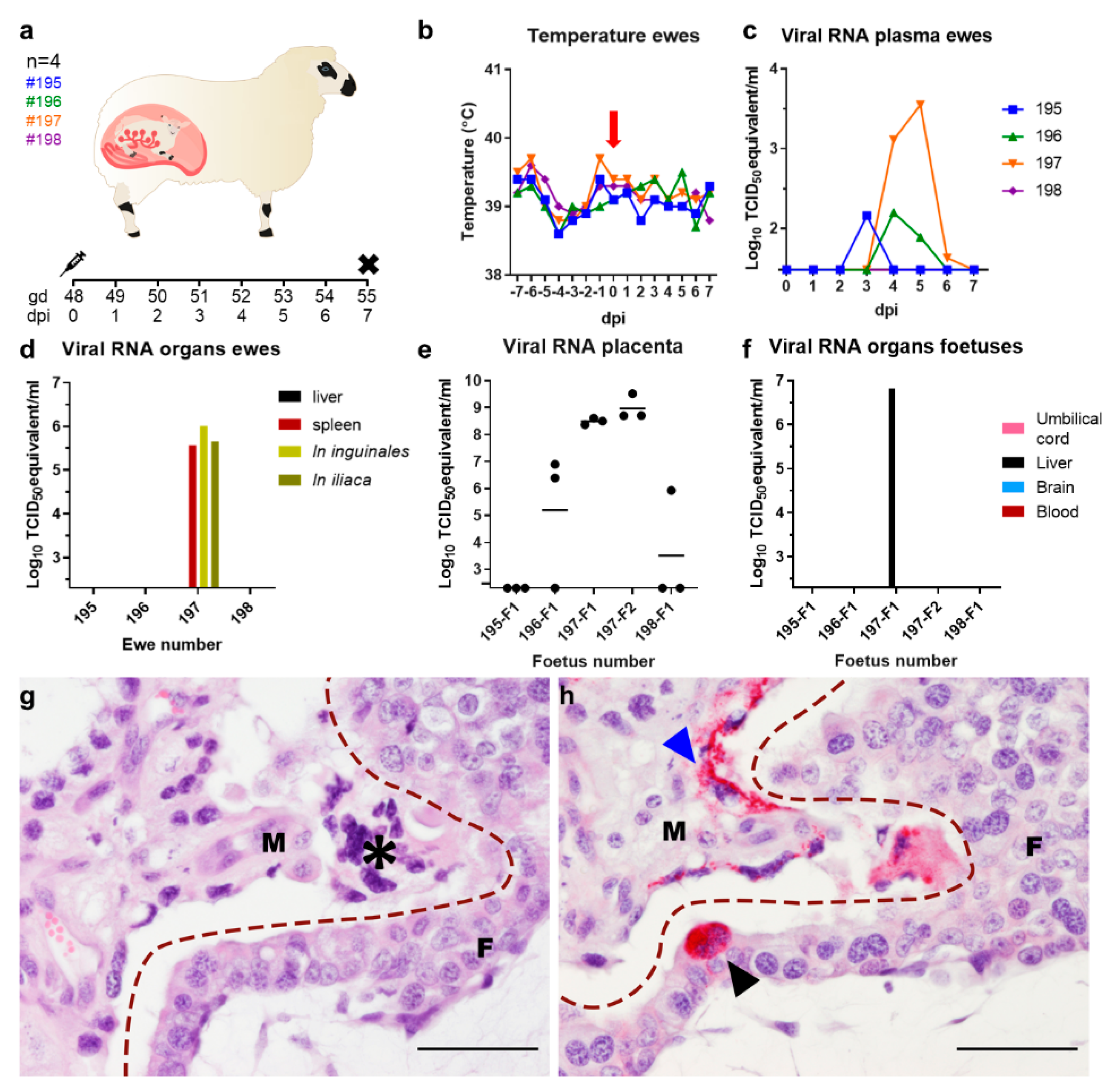 Pathogens 10 00017 g001 Pathogens 10 00017 g001