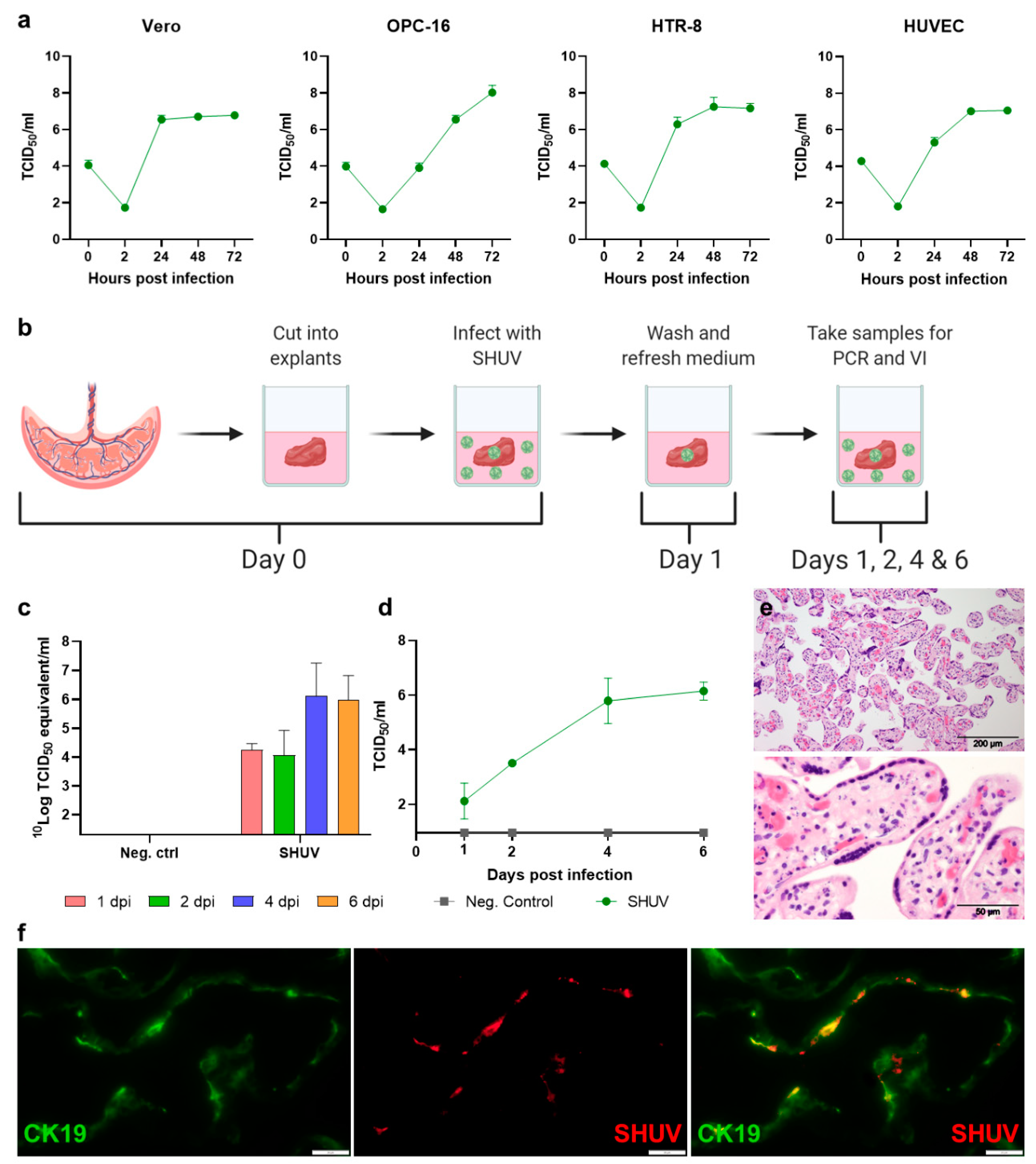 Pathogens 10 00017 g002 Pathogens 10 00017 g002