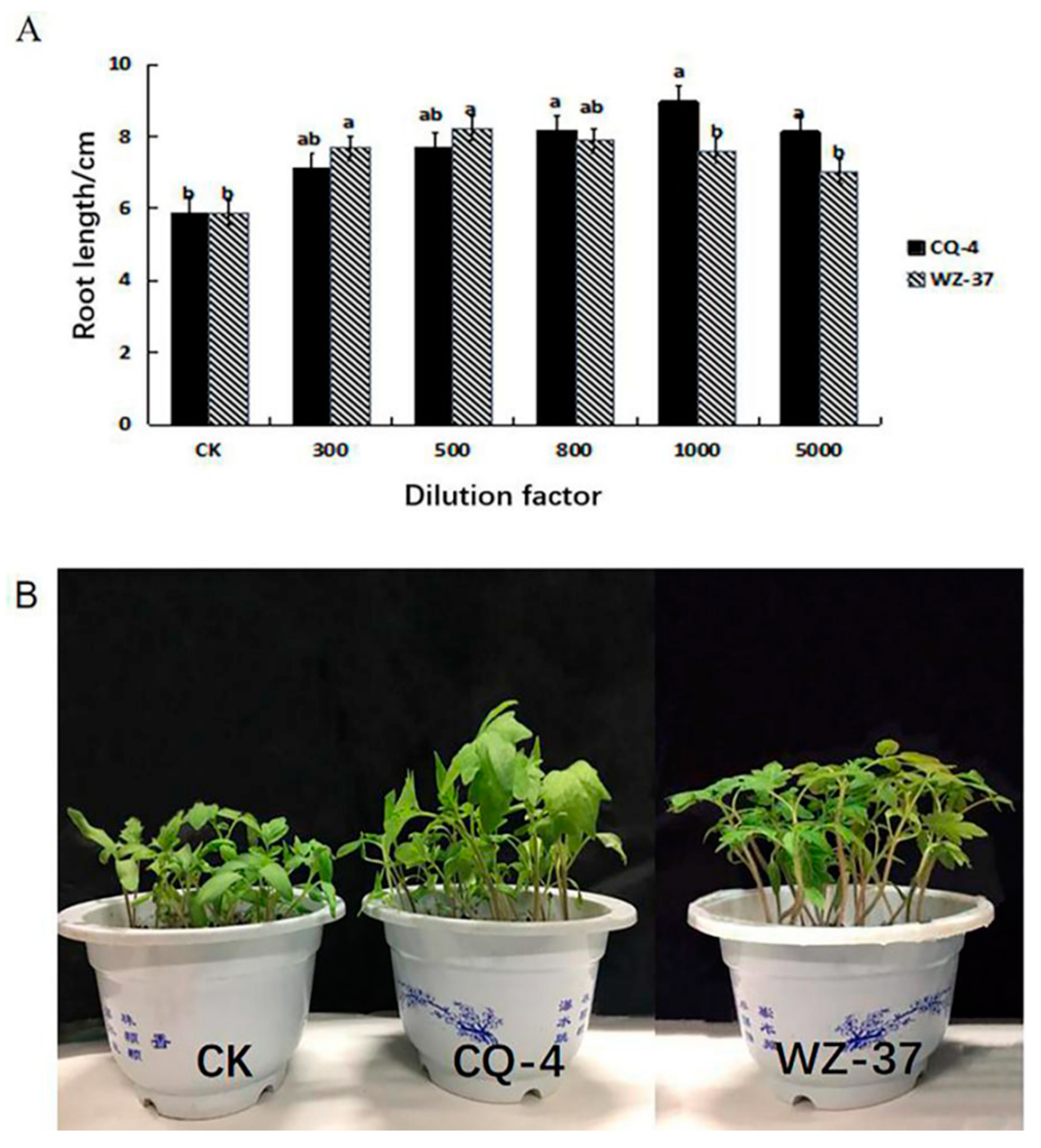Pathogens 10 00022 g005