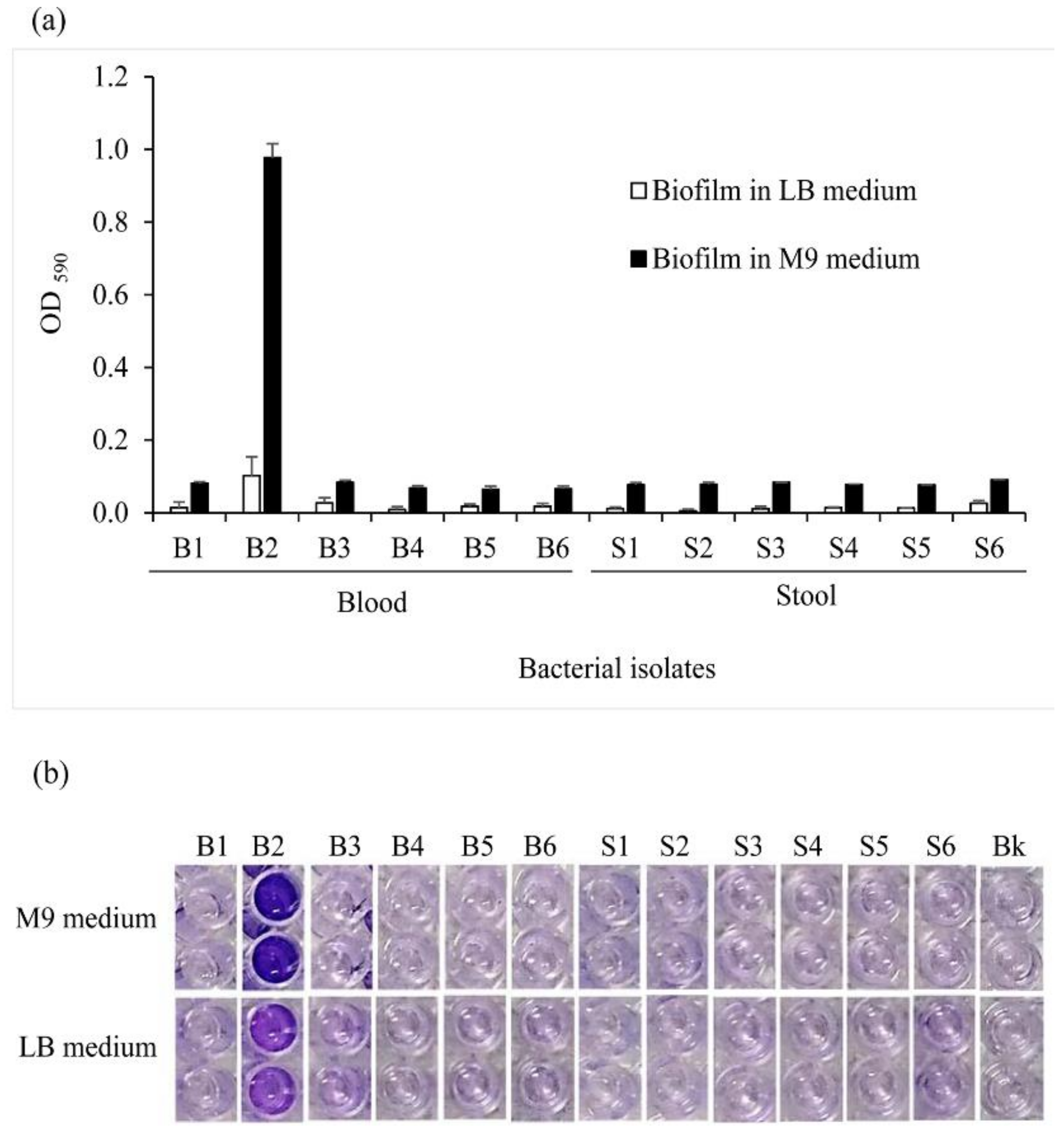 Pathogens 10 00074 g004 Pathogens 10 00074 g004