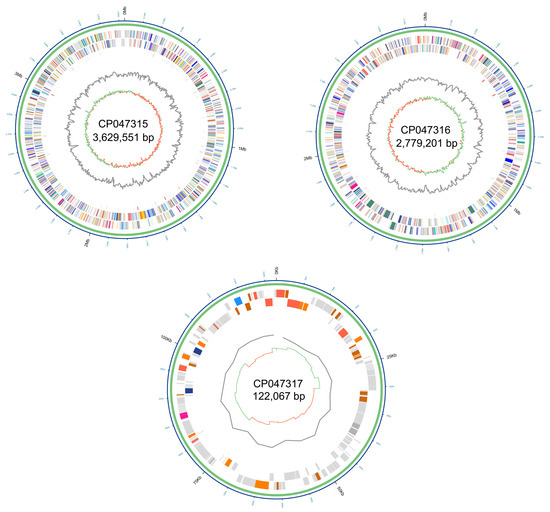 Pathogens Free Full Text Genome Sequence And Adaptation Analysis Of The Human And Rice Pathogenic Strain Burkholderia Glumae Au68 Html