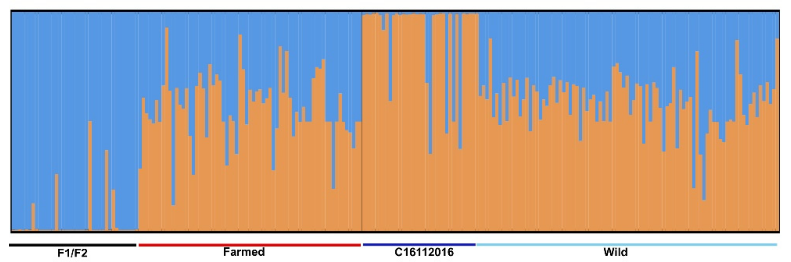 Pathogens 10 00100 g001 Pathogens 10 00100 g001