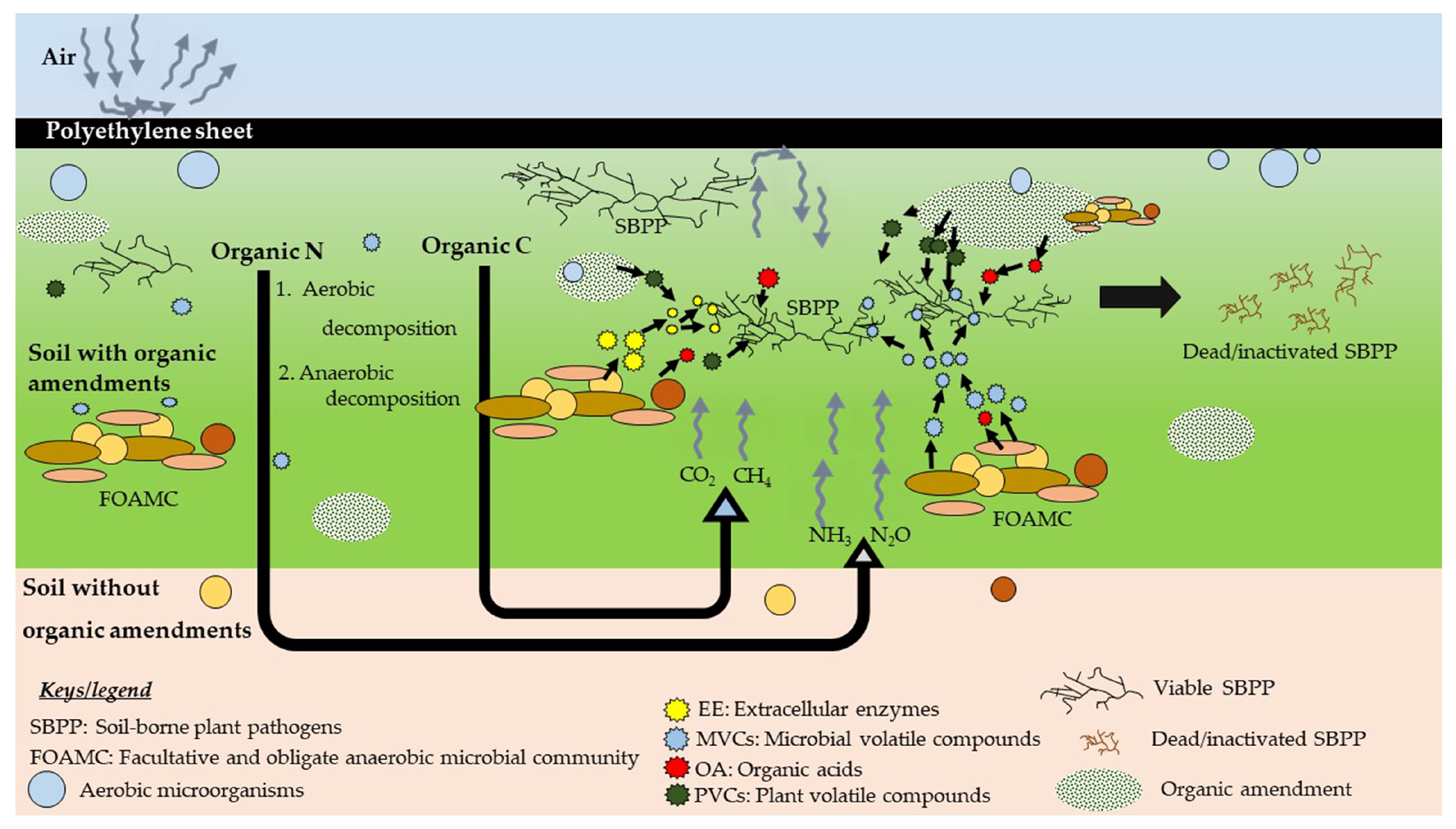 Pathogens 10 00133 g004 Pathogens 10 00133 g004