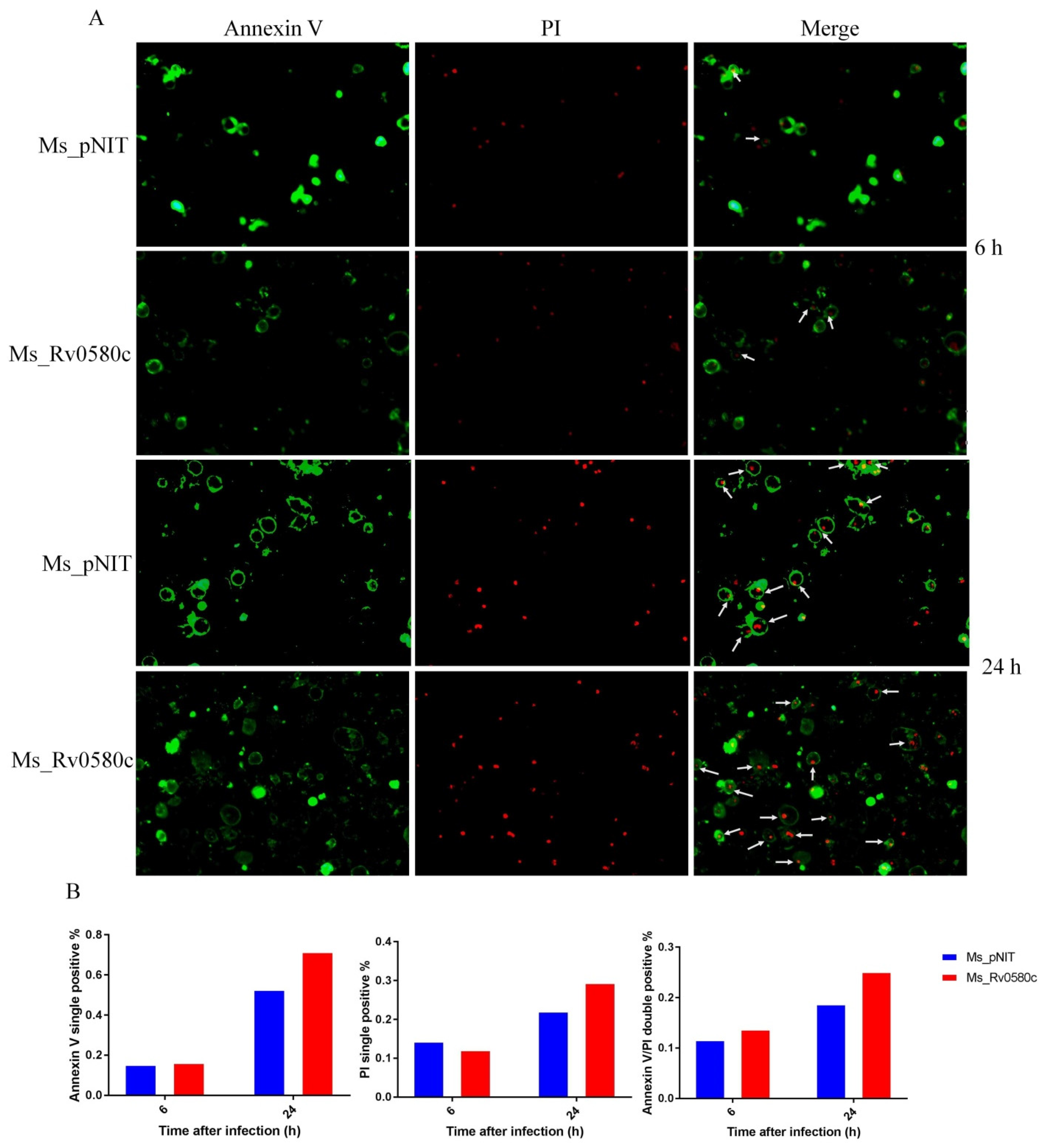 Pathogens 10 00143 g006 Pathogens 10 00143 g006
