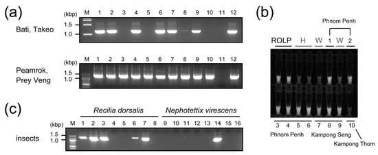 Pathogens Free Full Text Geographic Distribution Genetic Variability And Biological