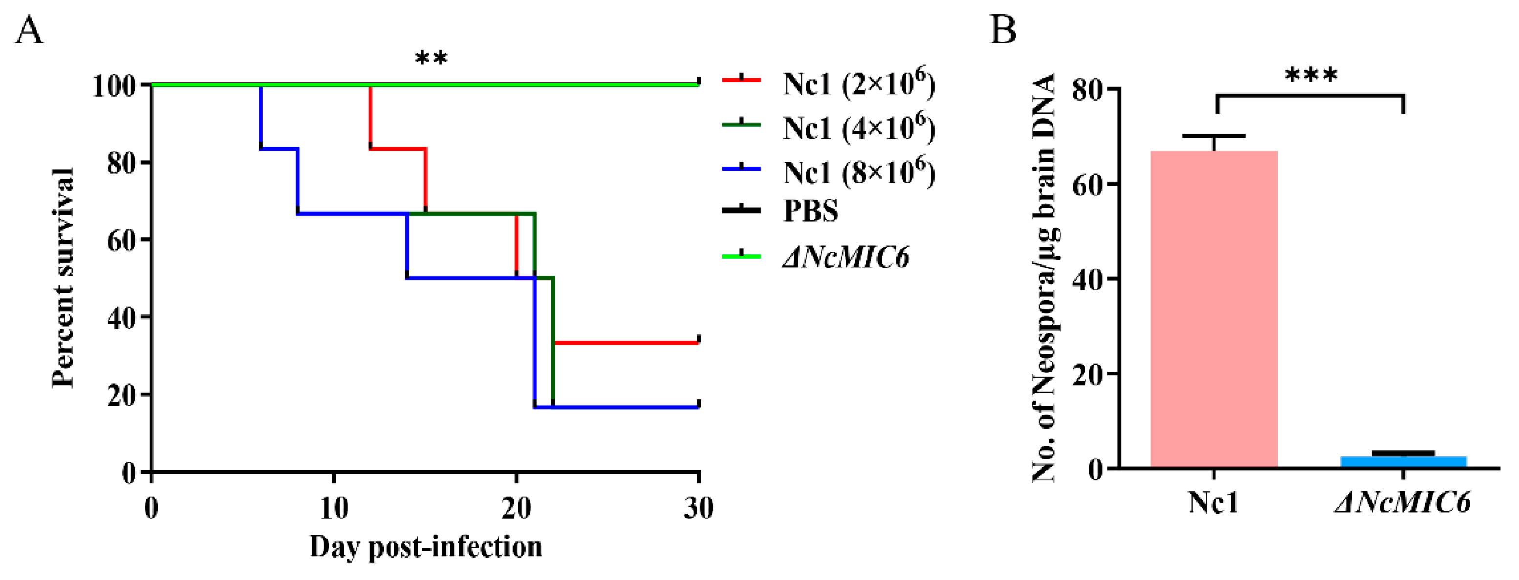 Pathogens 10 00201 g005