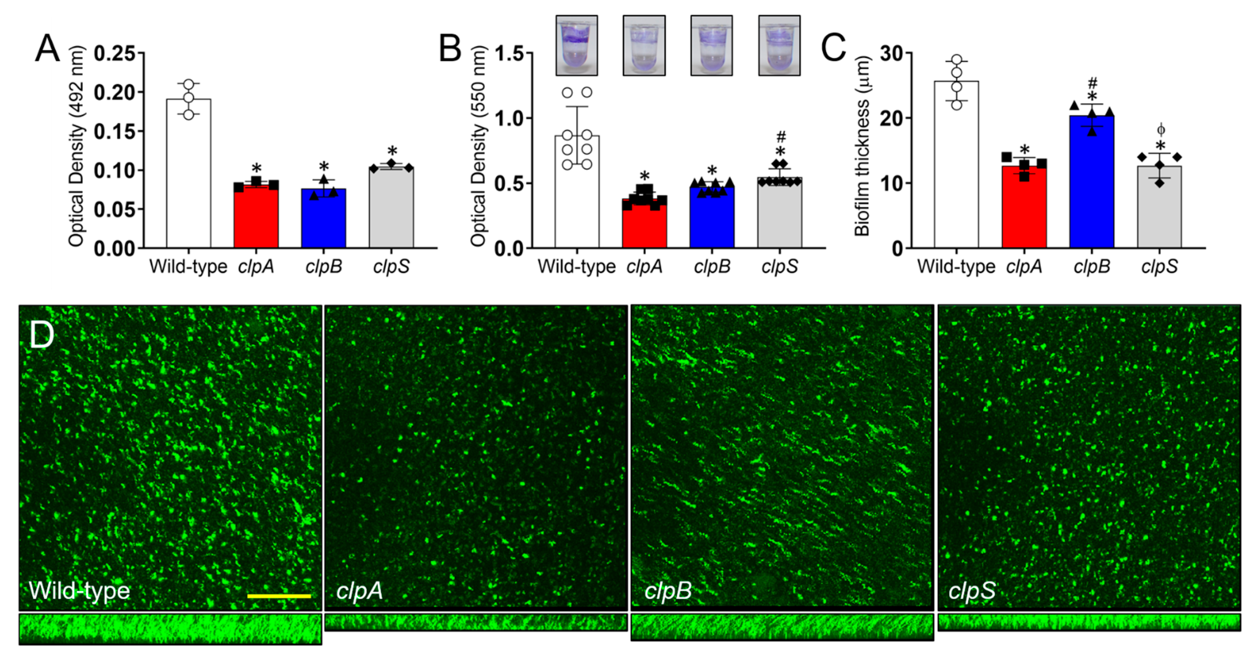 Pathogens 10 00204 g007 Pathogens 10 00204 g007