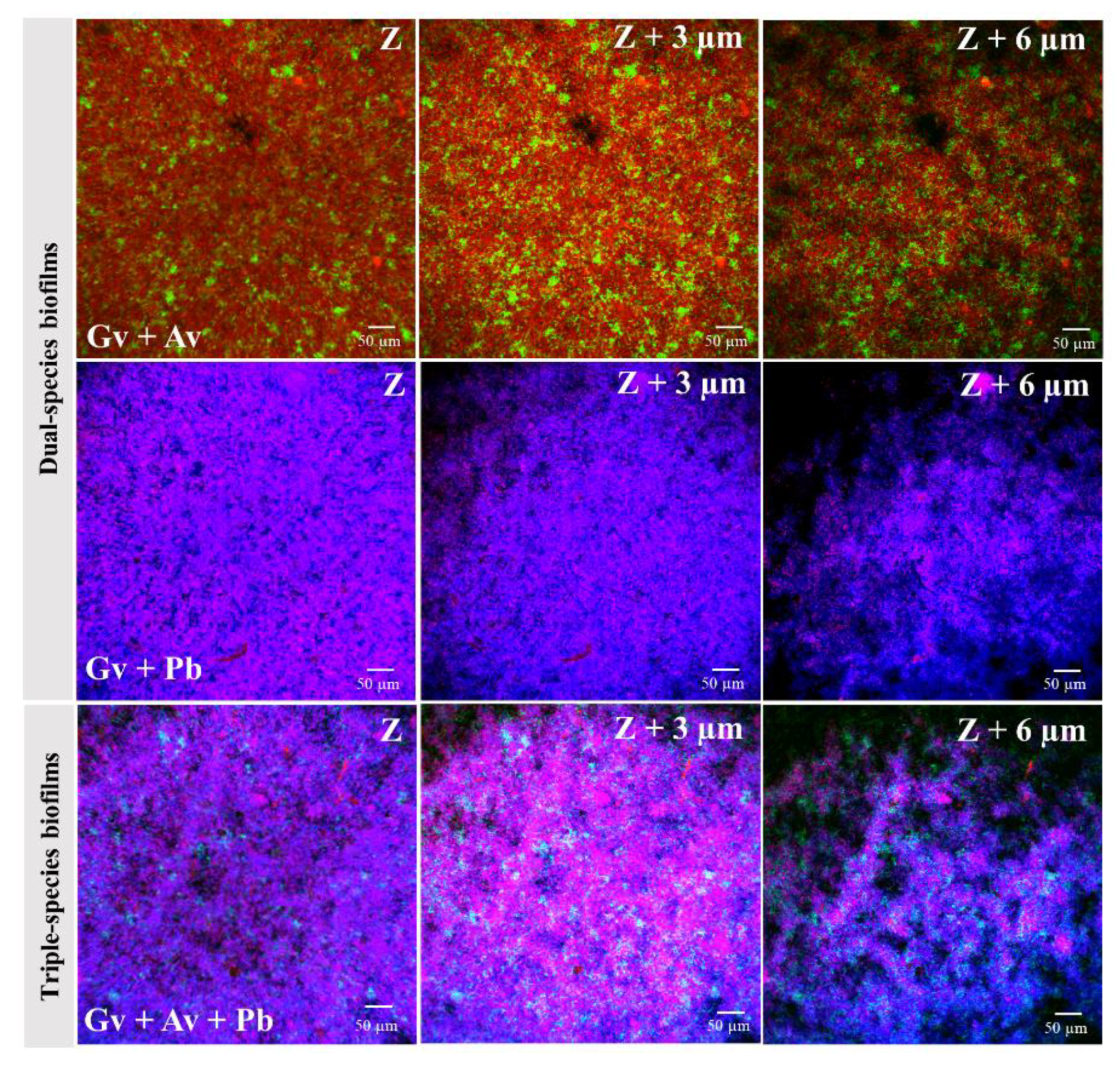 Pathogens 10 00247 g004
