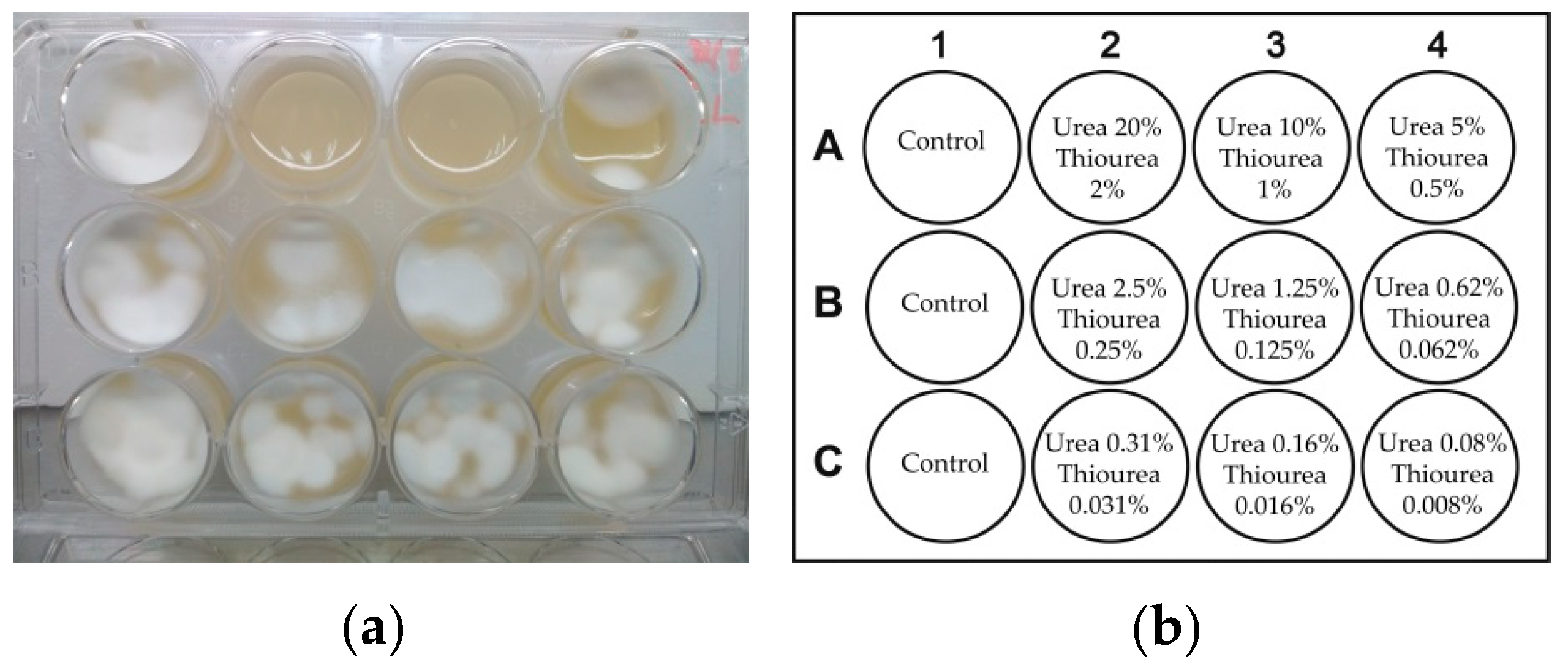 Pathogens 10 00263 g009 Pathogens 10 00263 g009