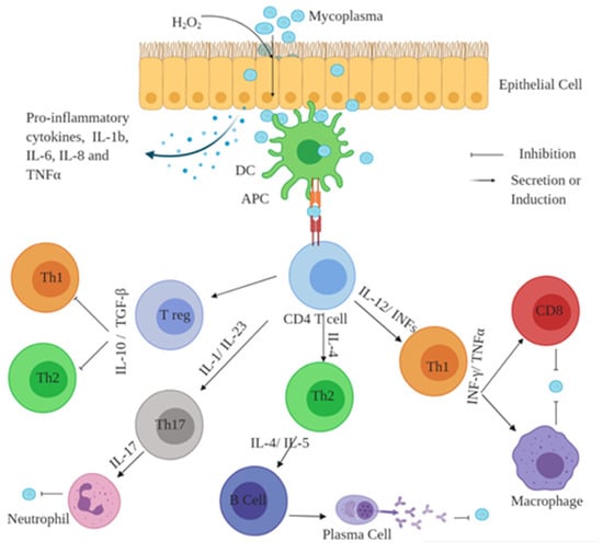 Pathogens 10 00297 g001 550