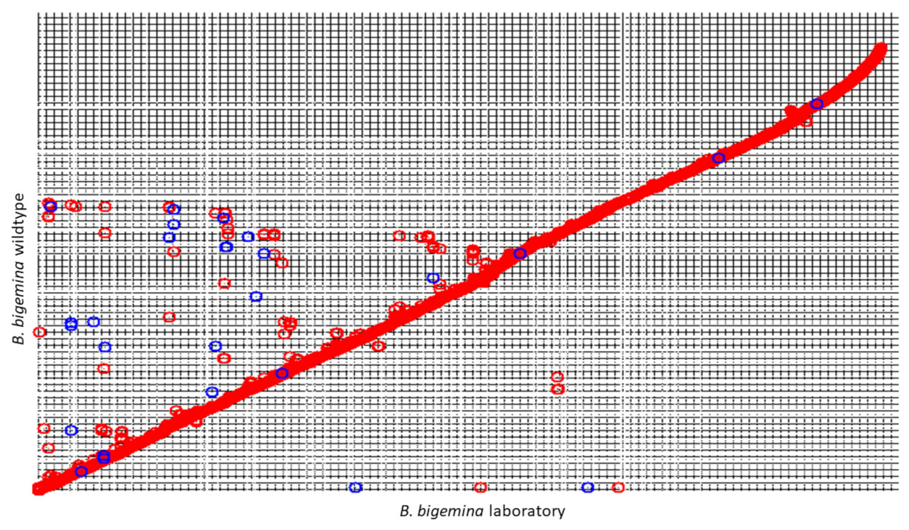 Pathogens 10 00318 g001 Pathogens 10 00318 g001