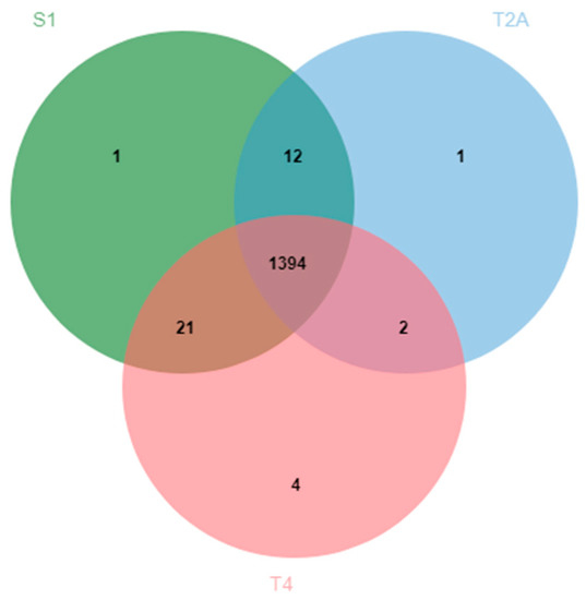 Pathogens | Free Full-Text | Whole-Genome Sequencing and Comparative ...