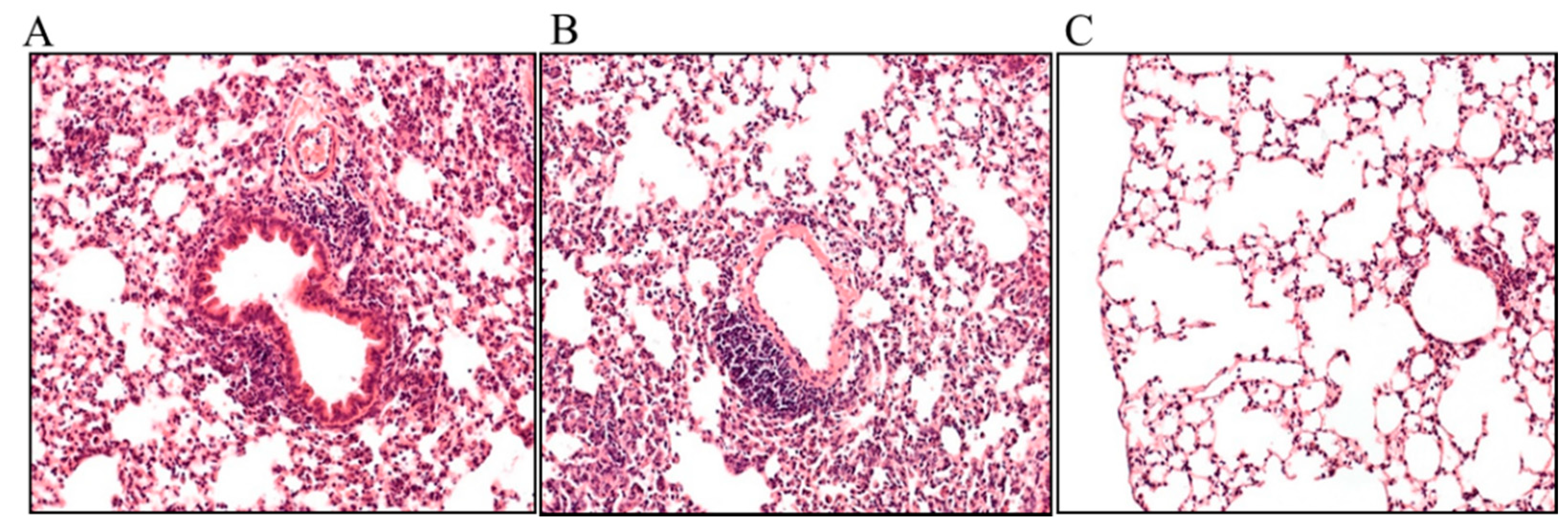 Pathogens 10 00338 g003 Pathogens 10 00338 g003