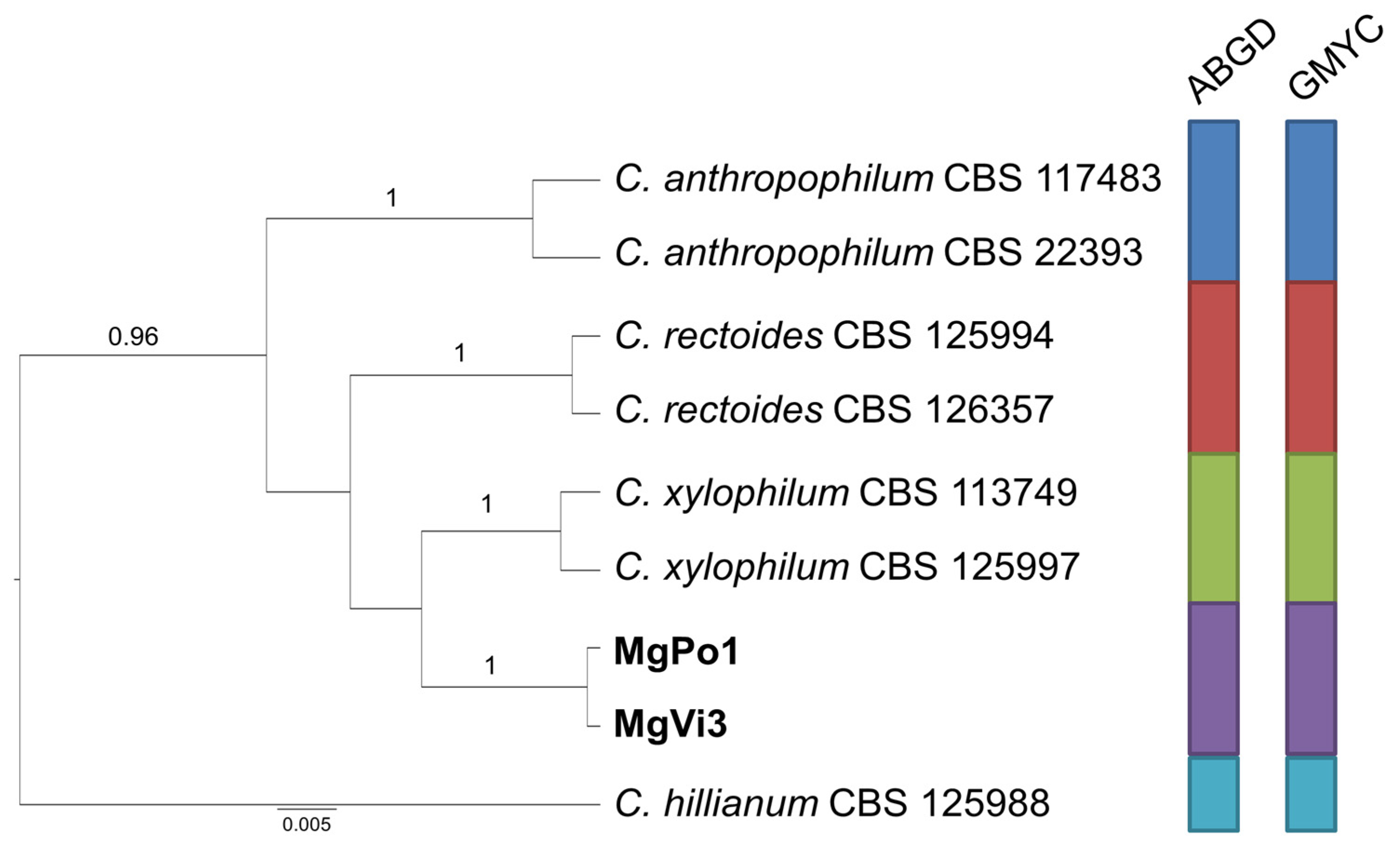 Pathogens 10 00369 g004 Pathogens 10 00369 g004