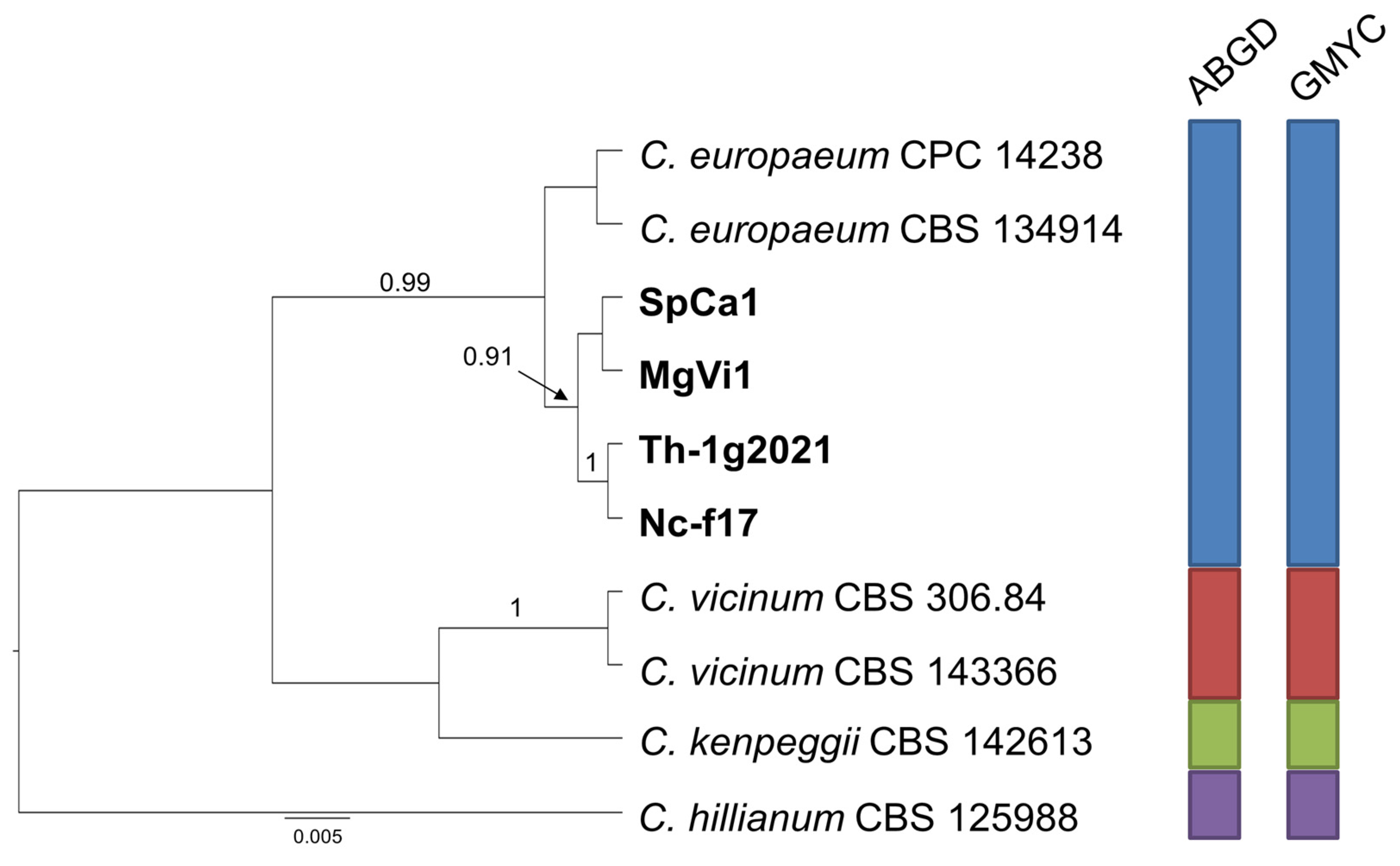 Pathogens 10 00369 g005 Pathogens 10 00369 g005