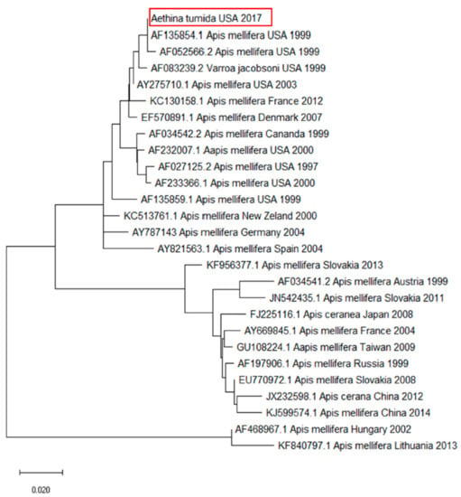 Pathogens, Free Full-Text