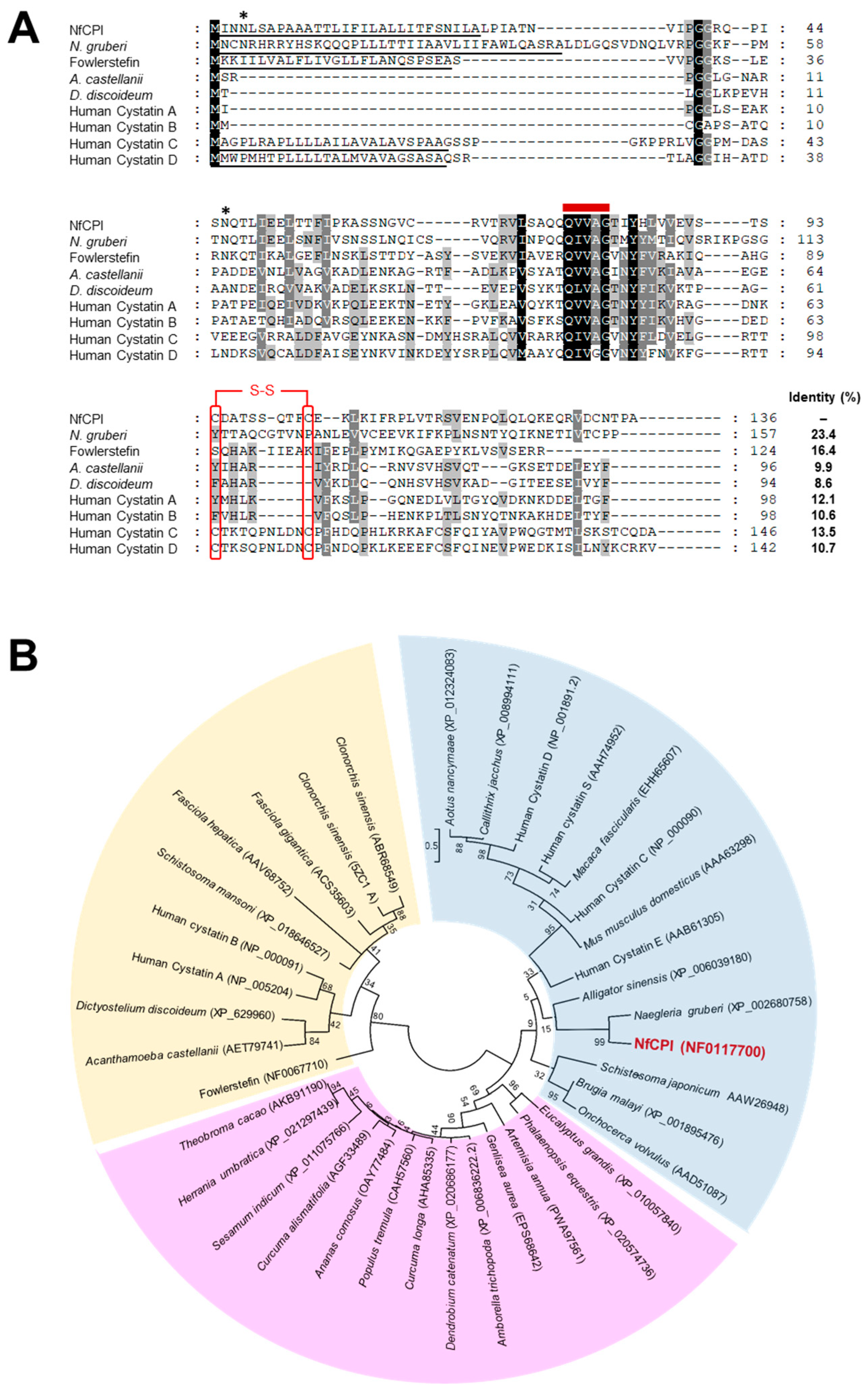 Pathogens 10 00388 g001 Pathogens 10 00388 g001