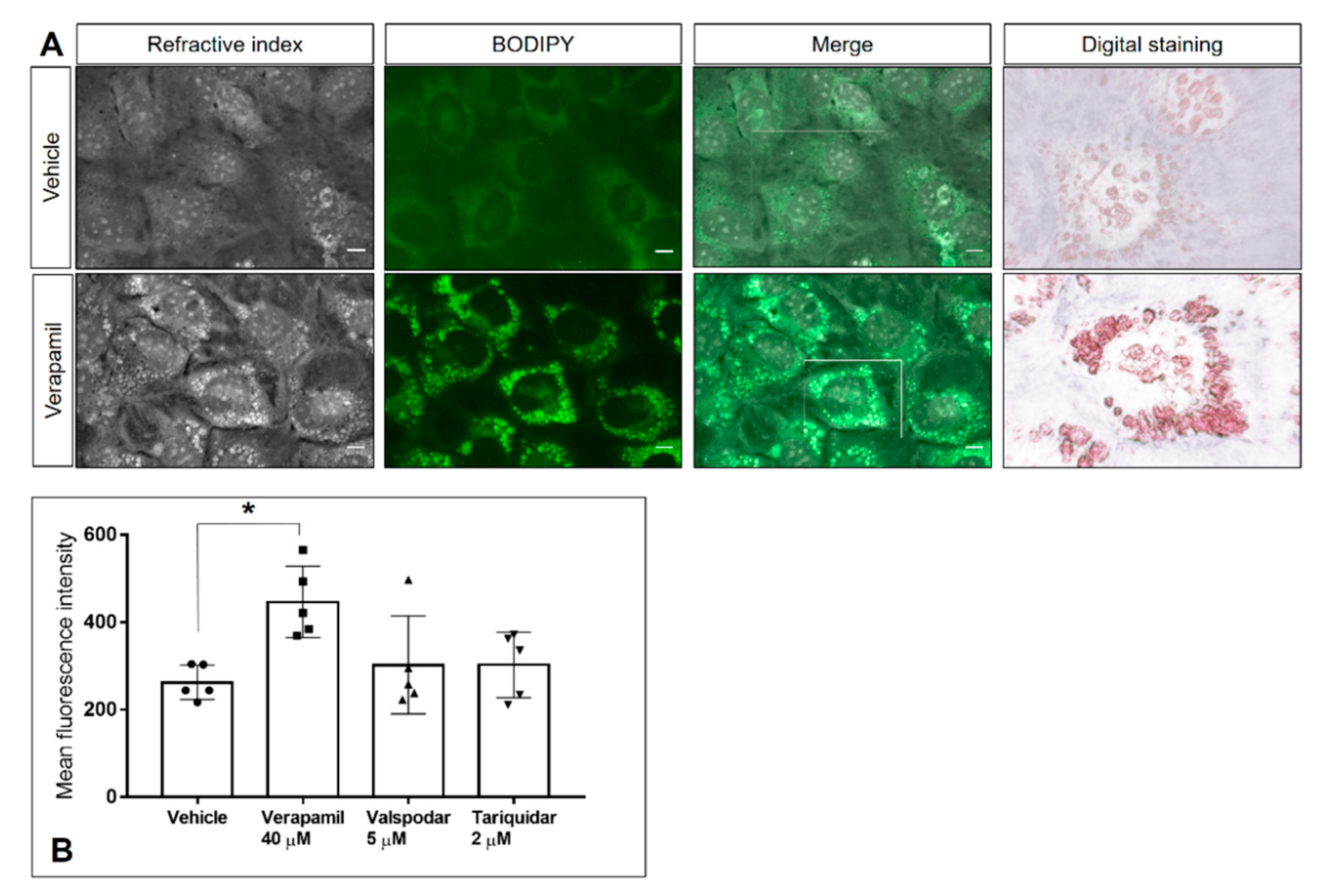 Pathogens 10 00395 g006