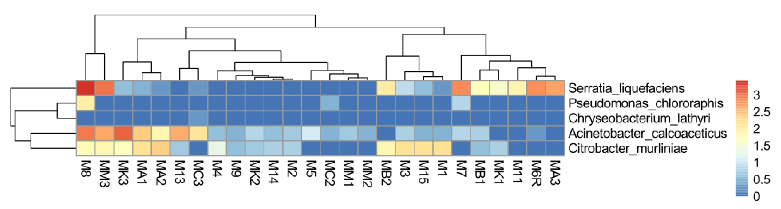 Pathogens 10 00396 g002
