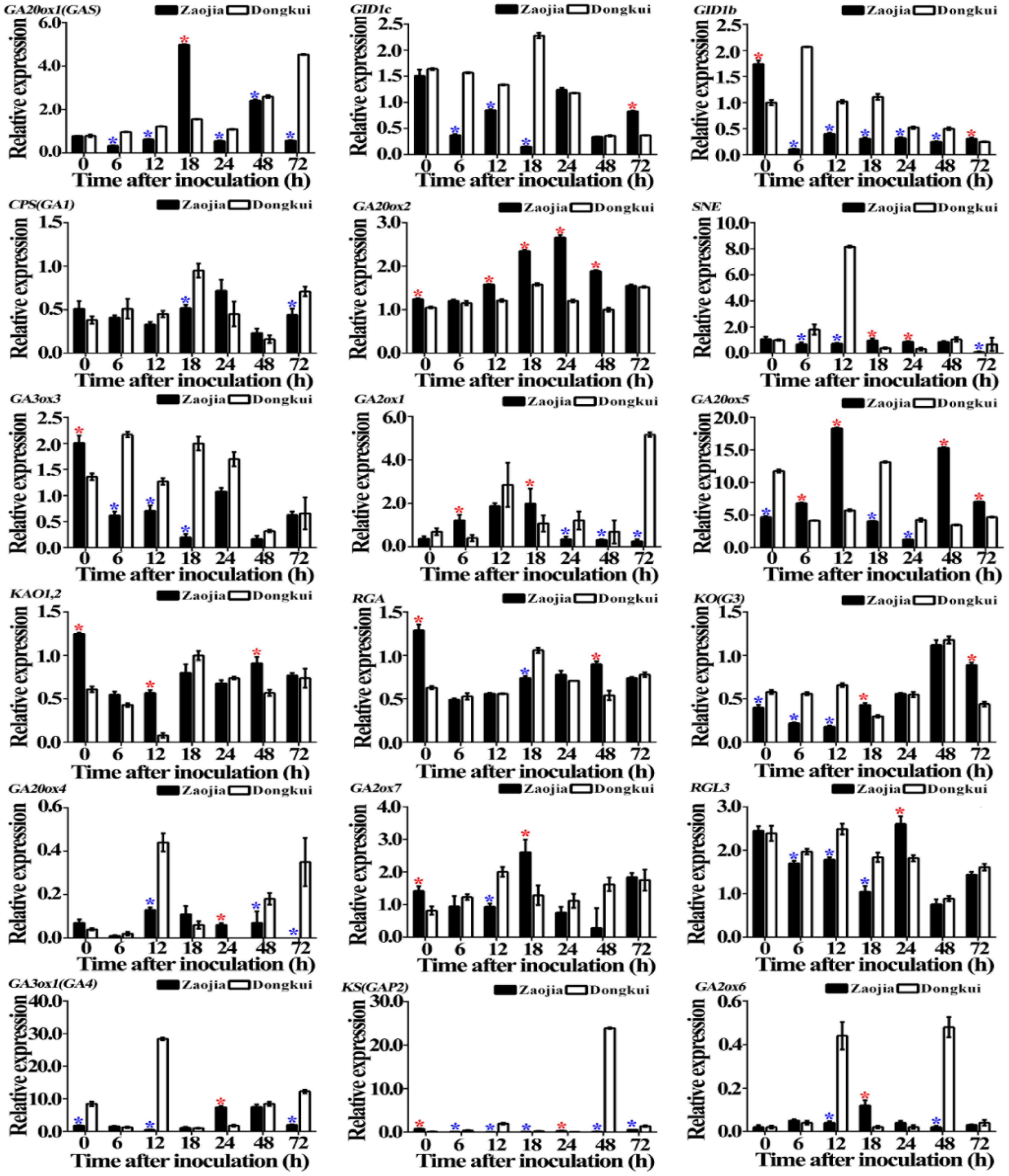 Pathogens 10 00402 g007