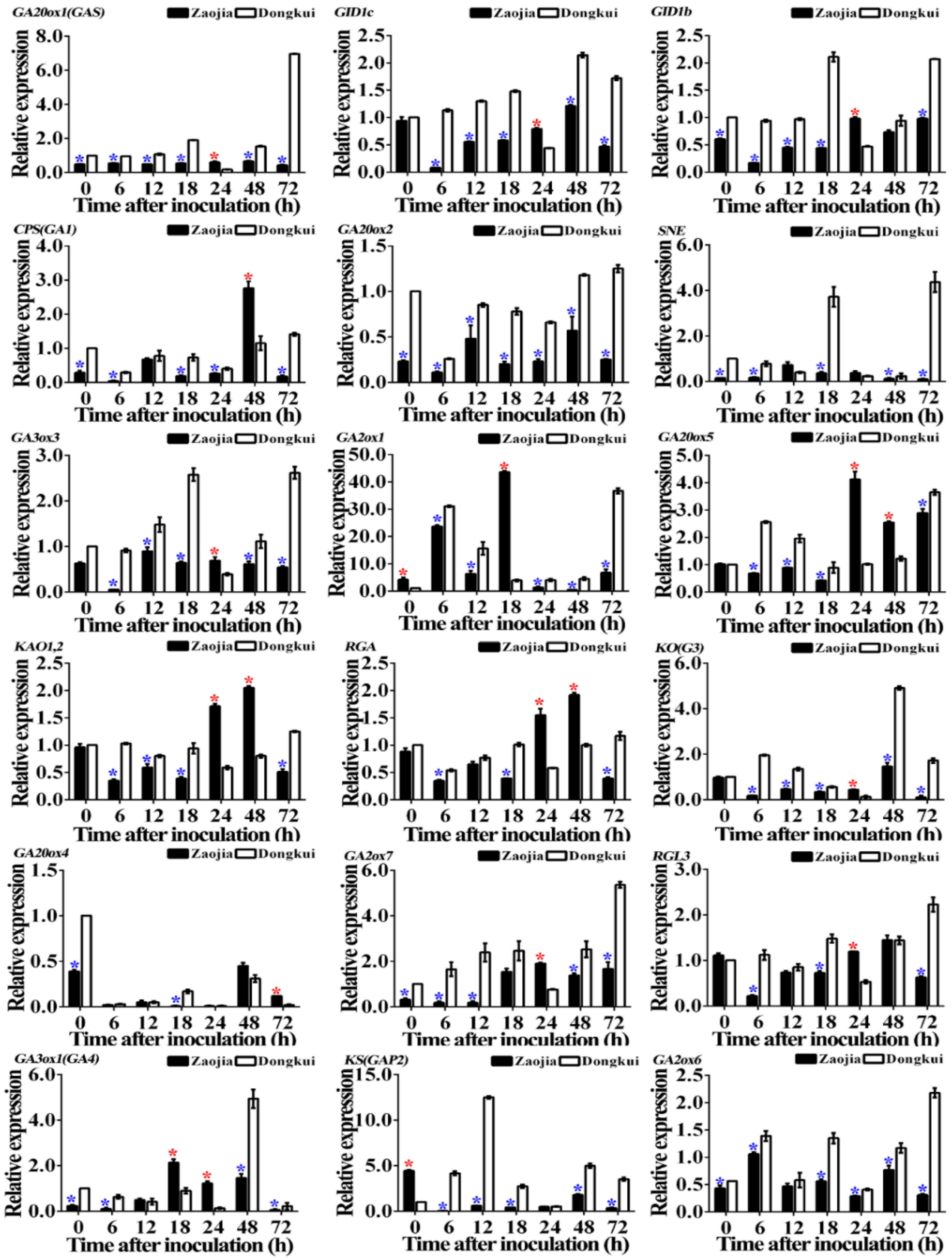 Pathogens 10 00402 g008
