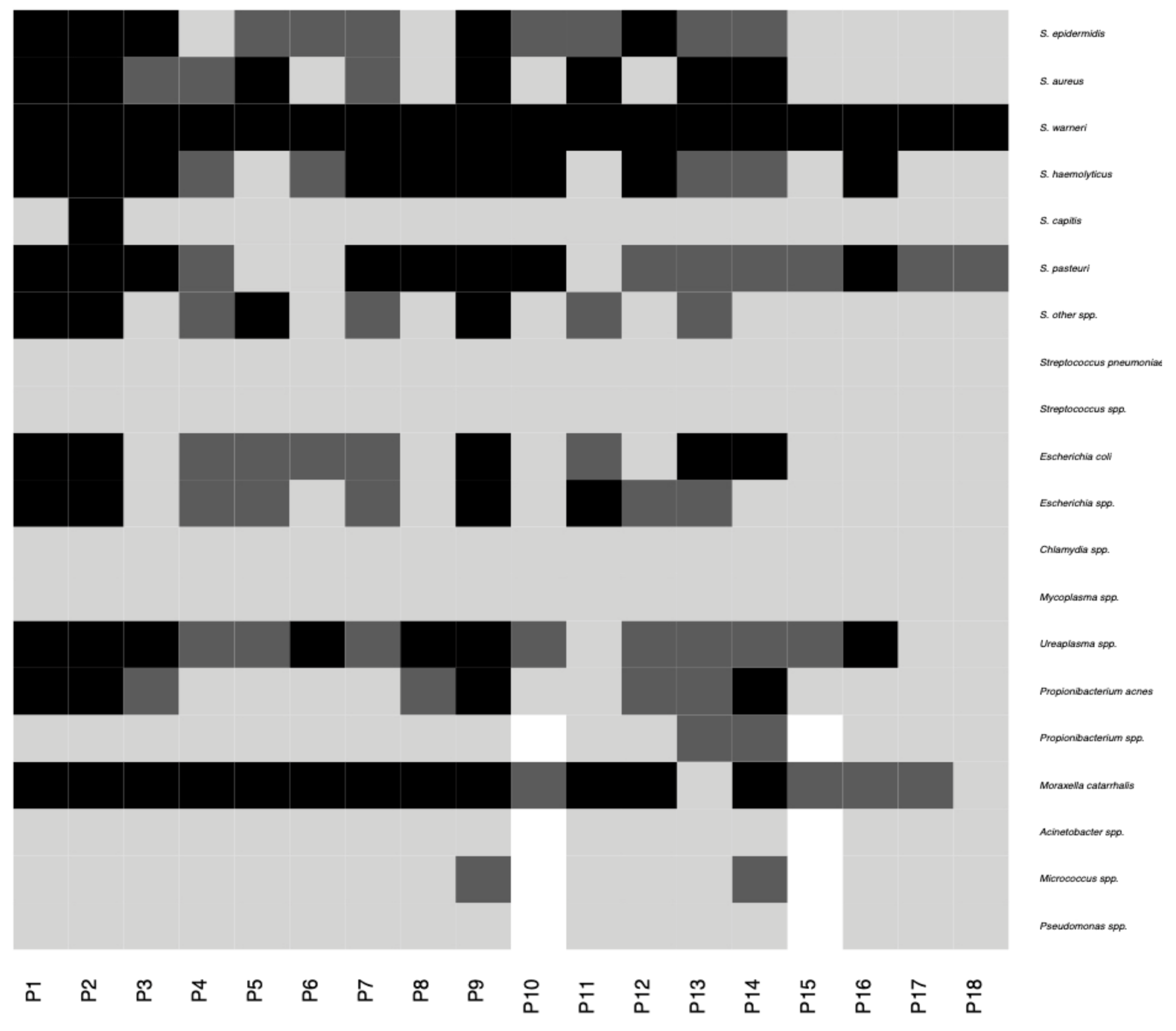 Pathogens 10 00405 g004 Pathogens 10 00405 g004