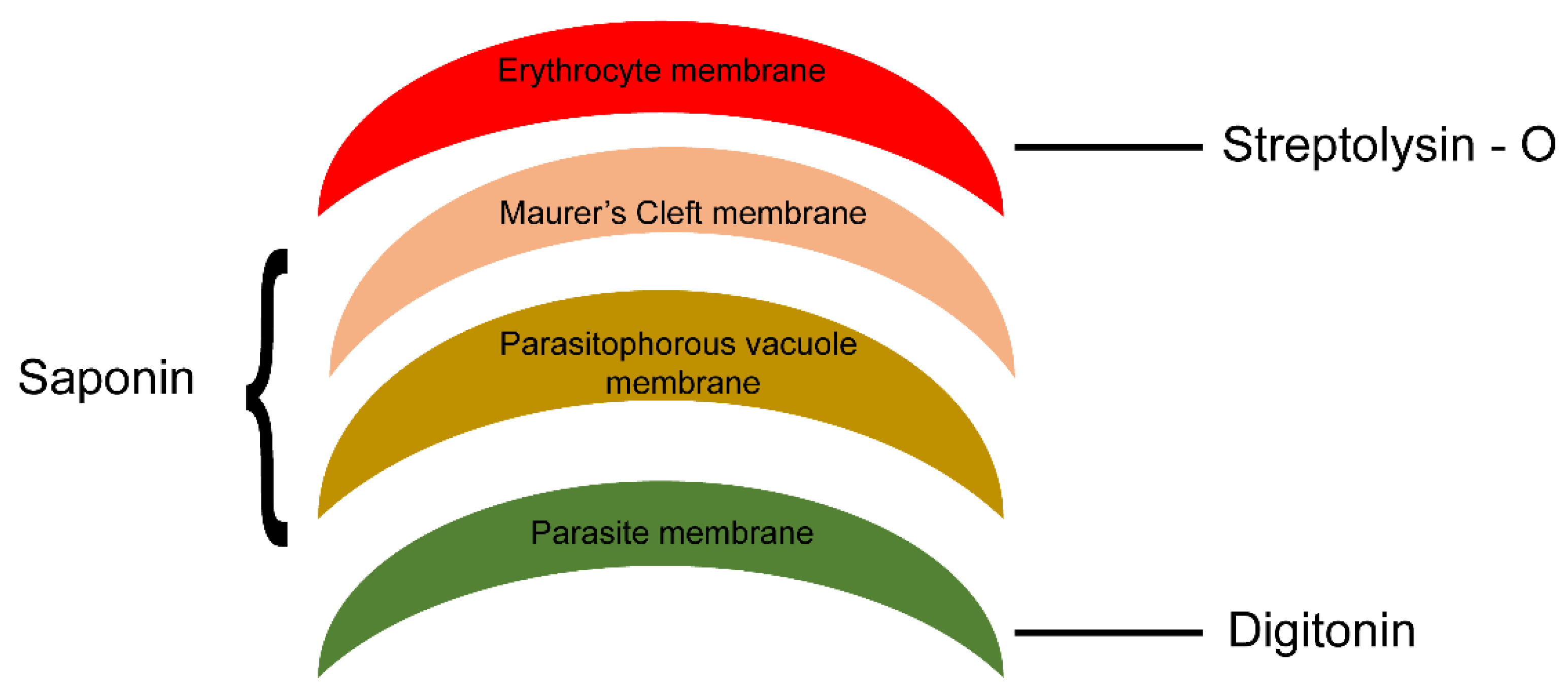 Pathogens 10 00431 g006 Pathogens 10 00431 g006