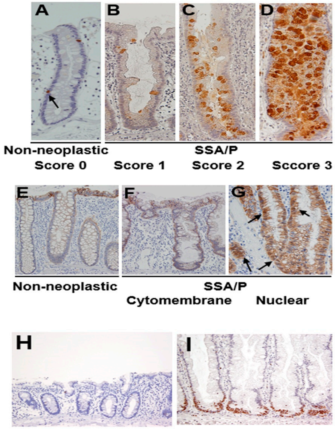 Pathogens 10 00434 g002 Pathogens 10 00434 g002