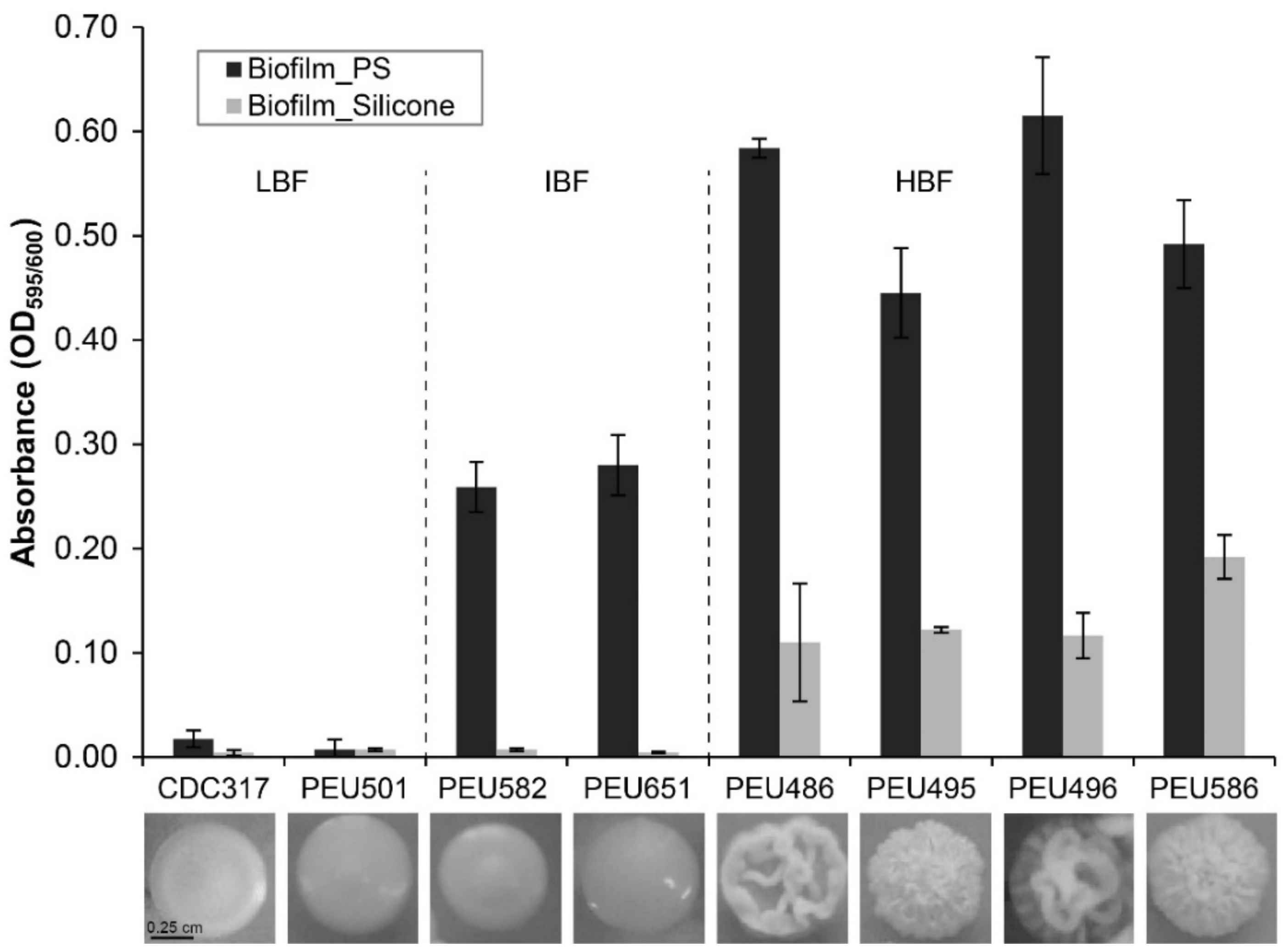 Pathogens | Free Full-Text | High Biofilm Formation of Non-Smooth Candida  parapsilosis Correlates with Increased Incorporation of GPI-Modified Wall  Adhesins