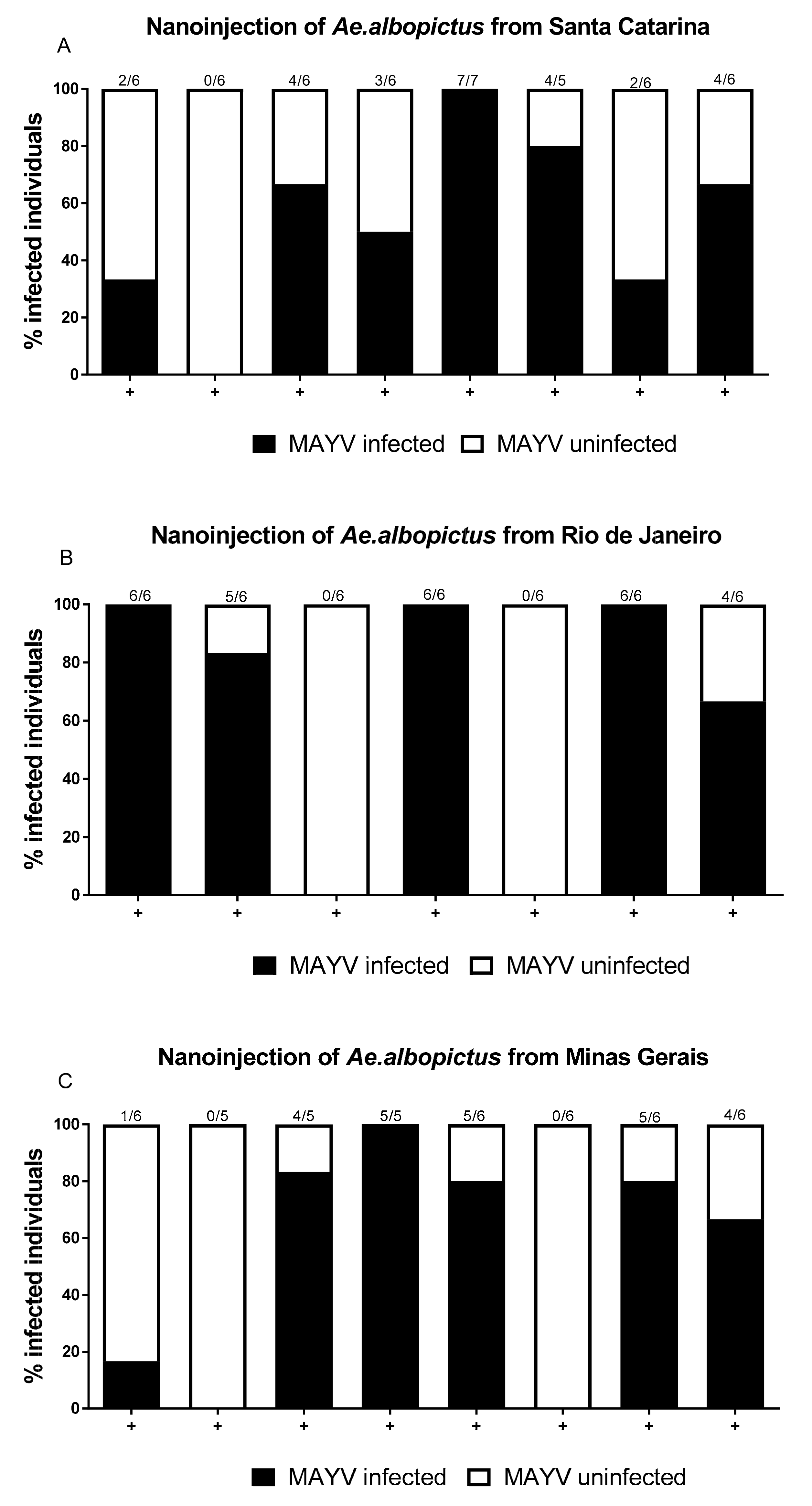 Pathogens Free Full Text Mayaro Virus The Potential Role Of Microbiota And Wolbachia Html