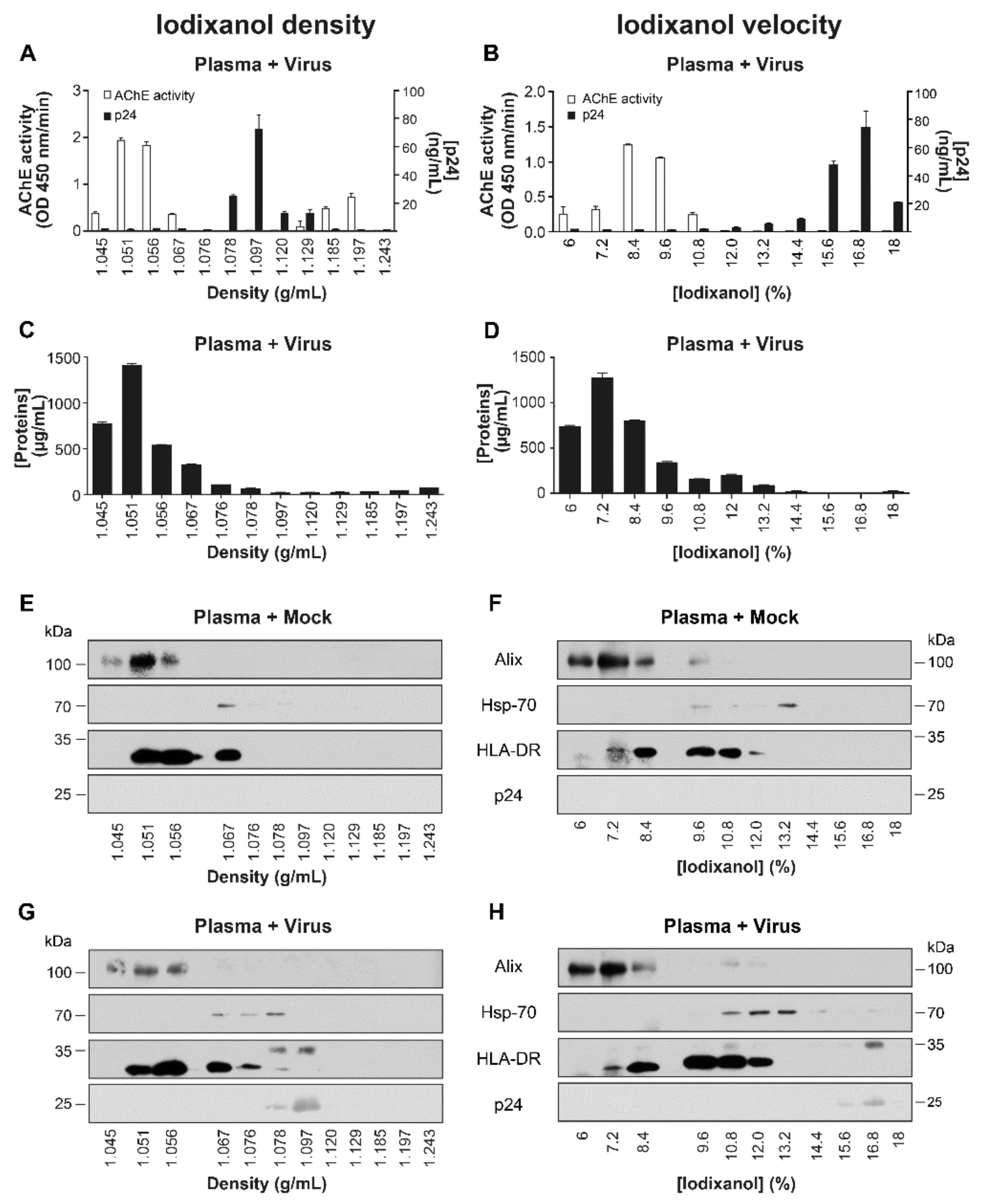 Pathogens 10 00526 g005