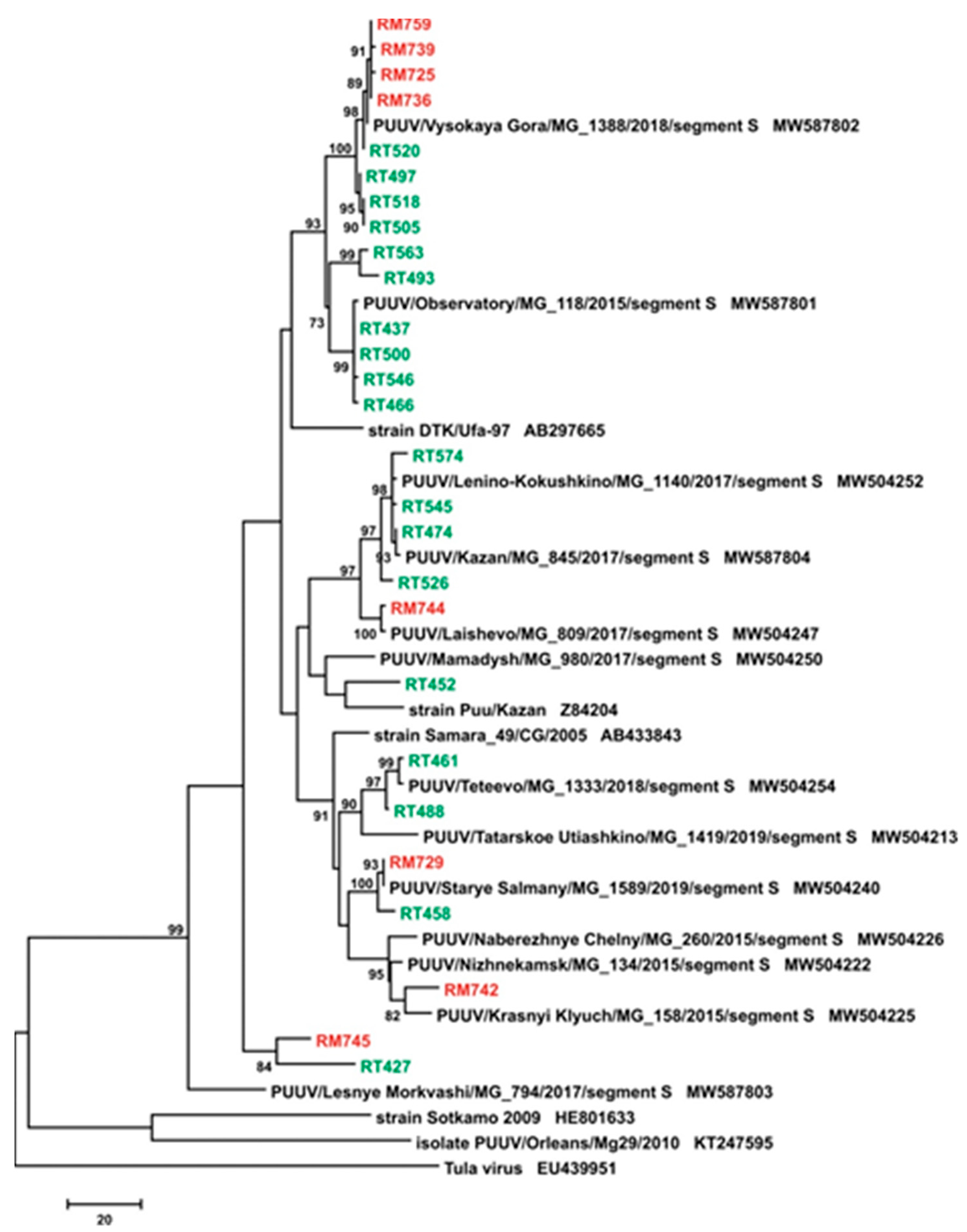 Pathogens 10 00527 g002
