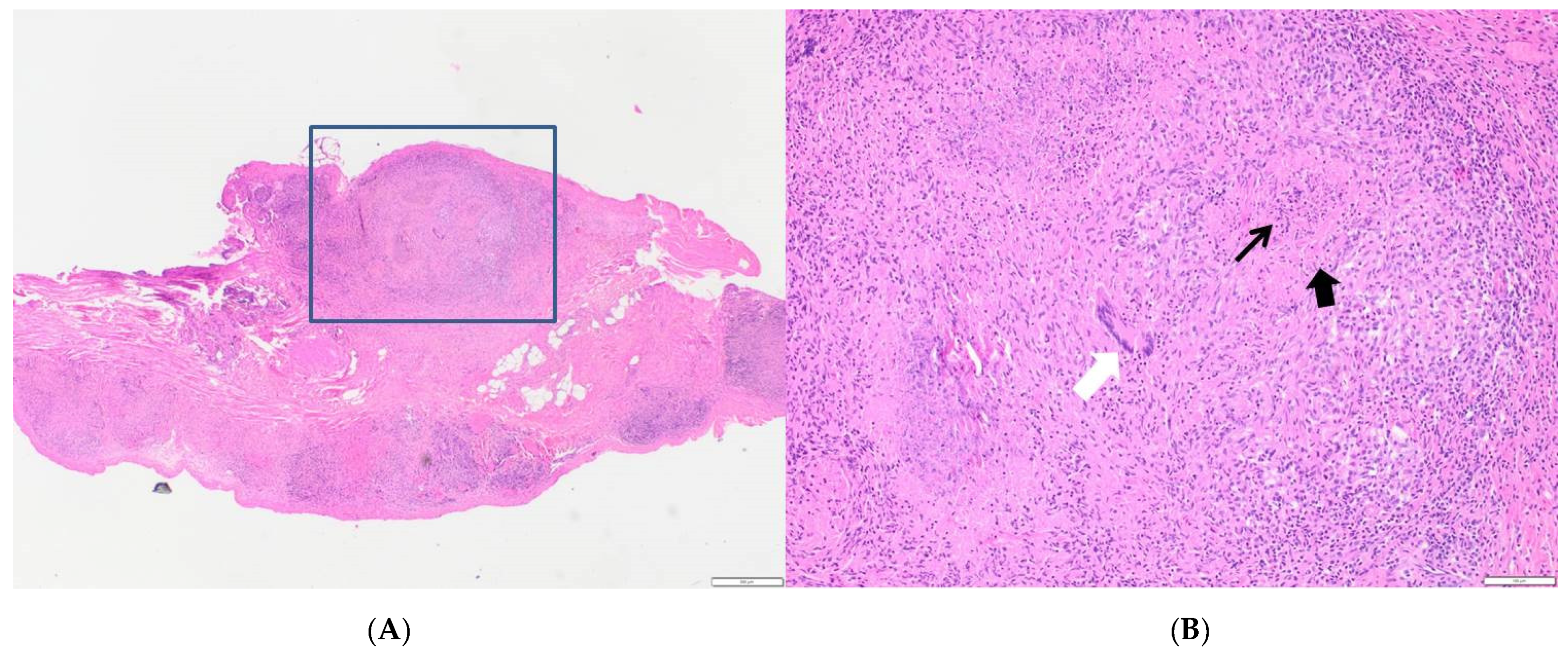 Pathogens 10 00535 g003 Pathogens 10 00535 g003