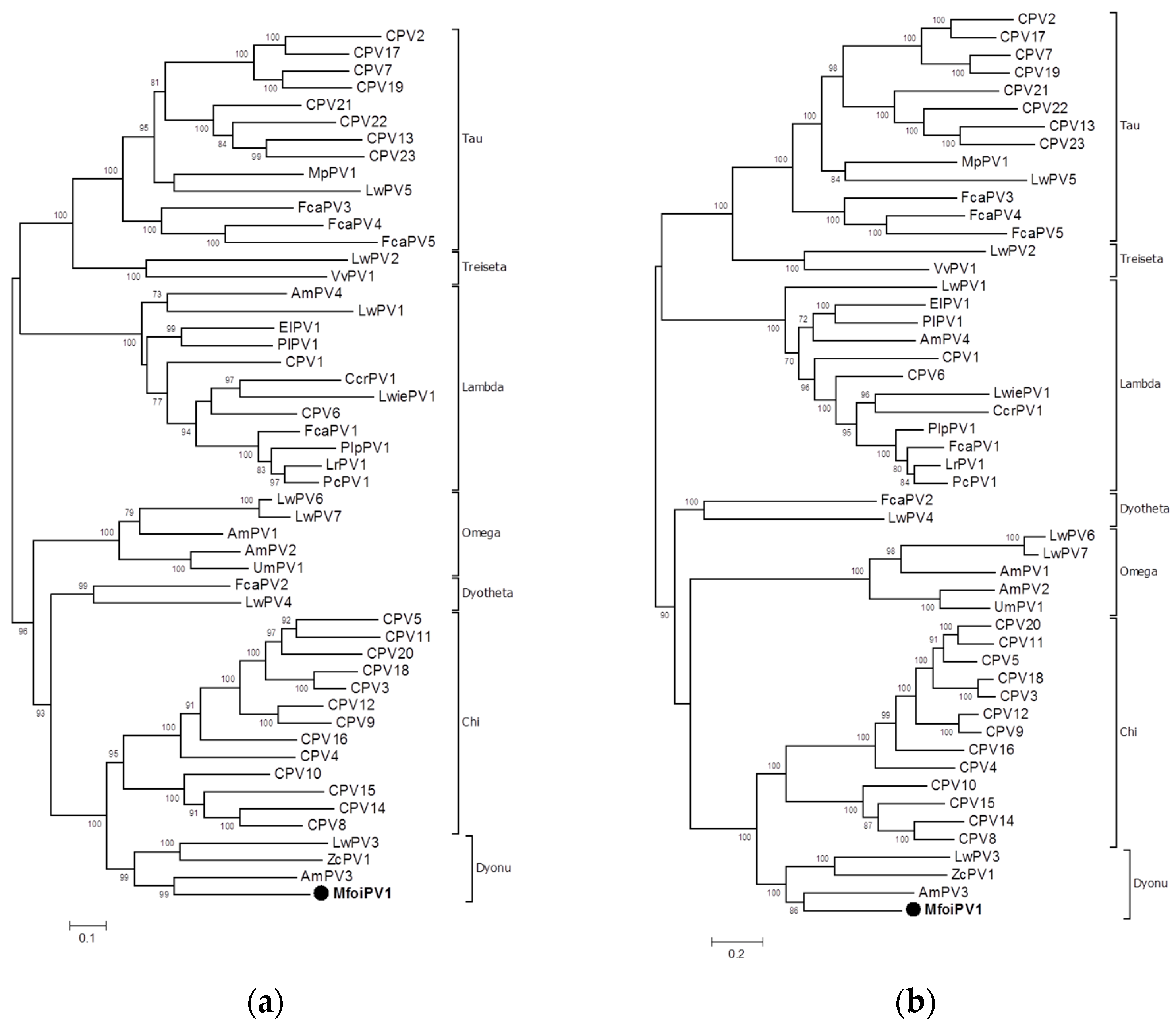 Pathogens 10 00539 g003 Pathogens 10 00539 g003