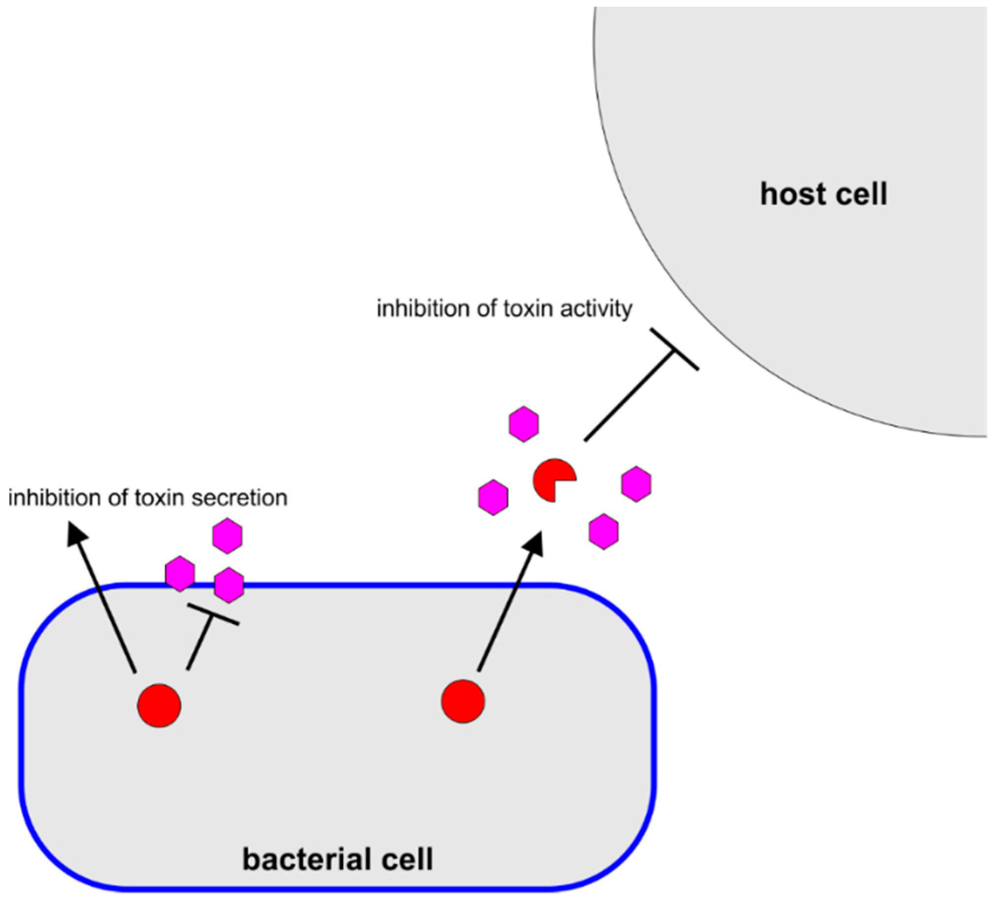 Pathogens 10 00546 g003 Pathogens 10 00546 g003