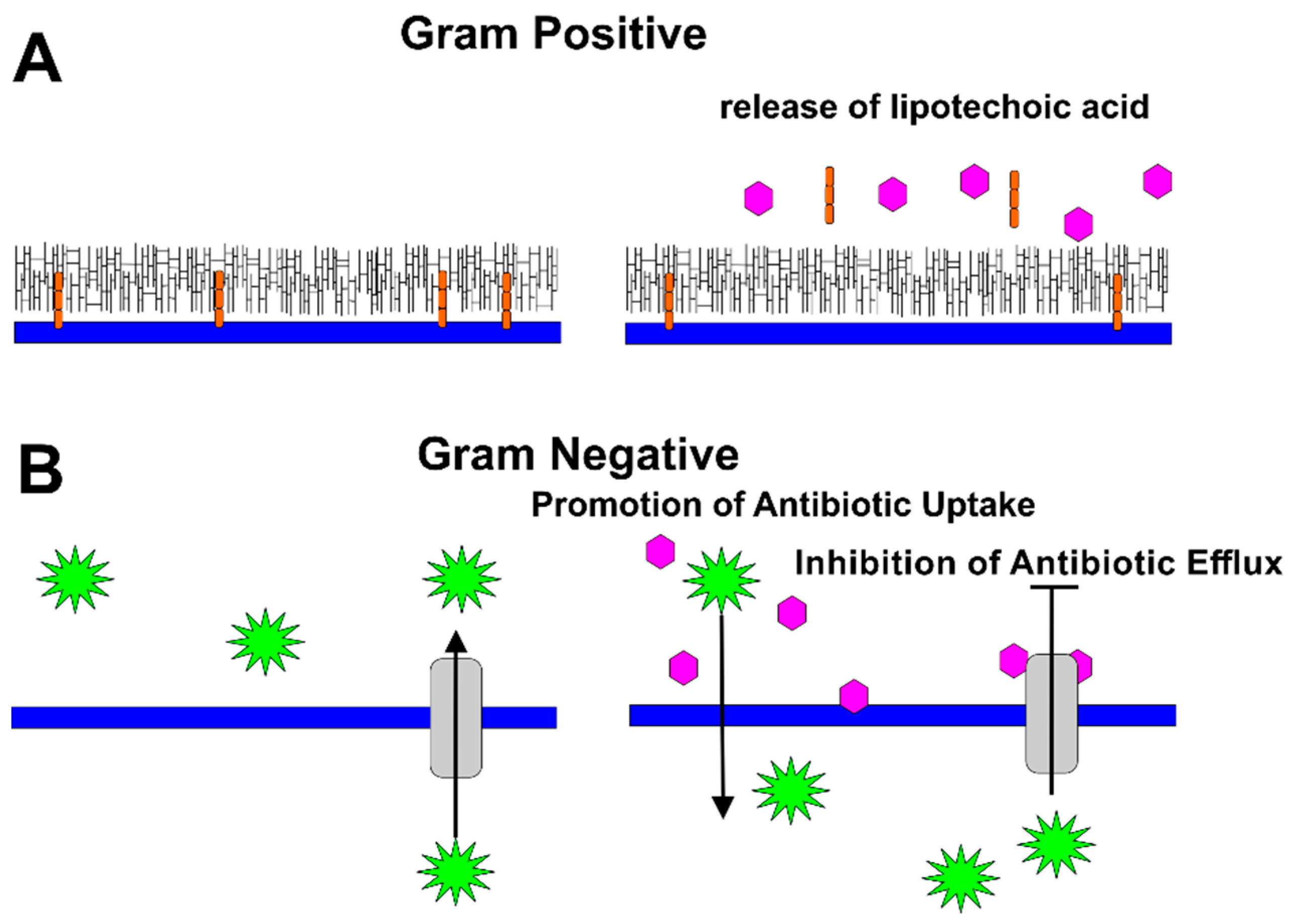Pathogens 10 00546 g004 Pathogens 10 00546 g004