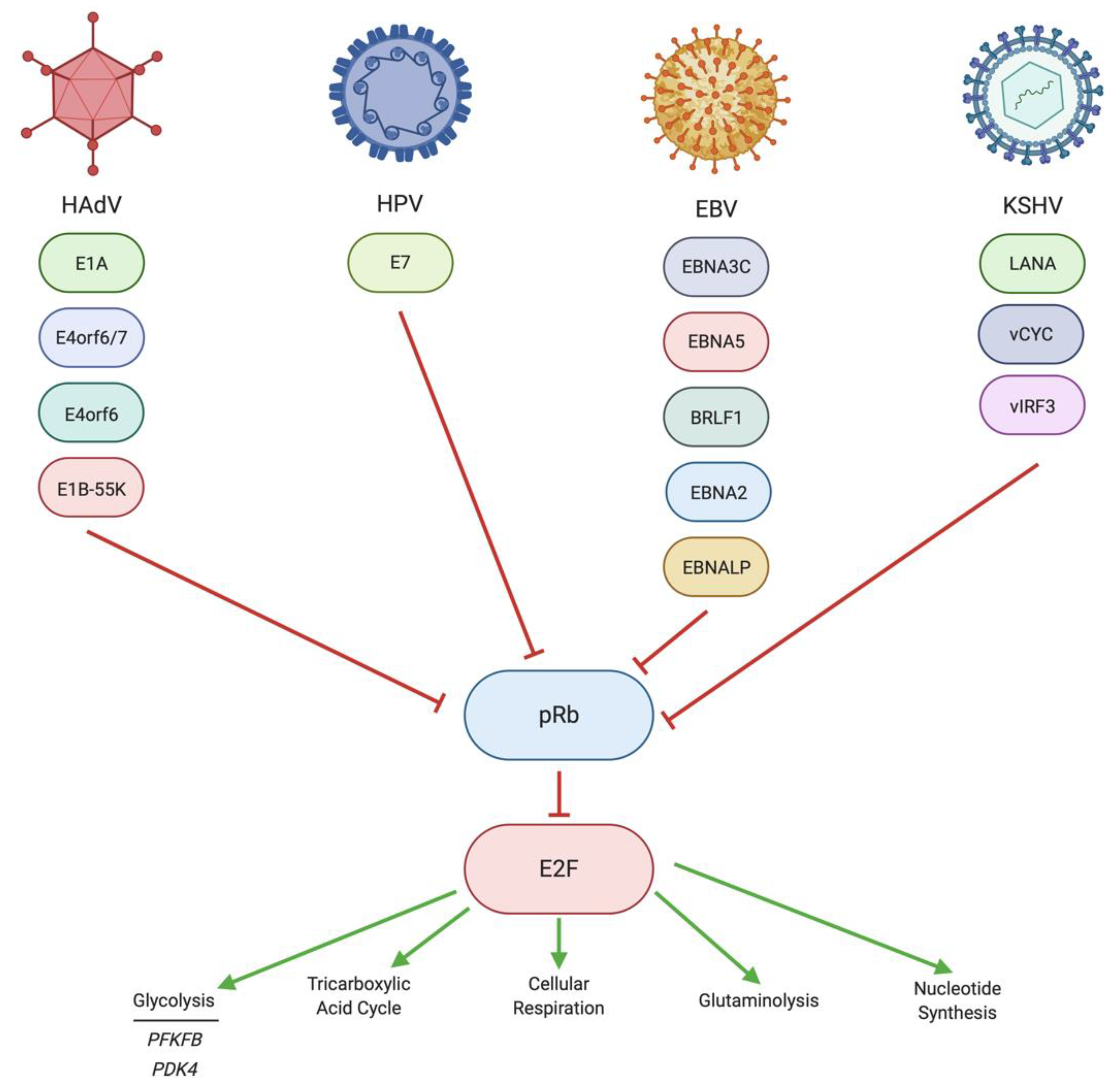 Pathogens 10 00560 g003 Pathogens 10 00560 g003