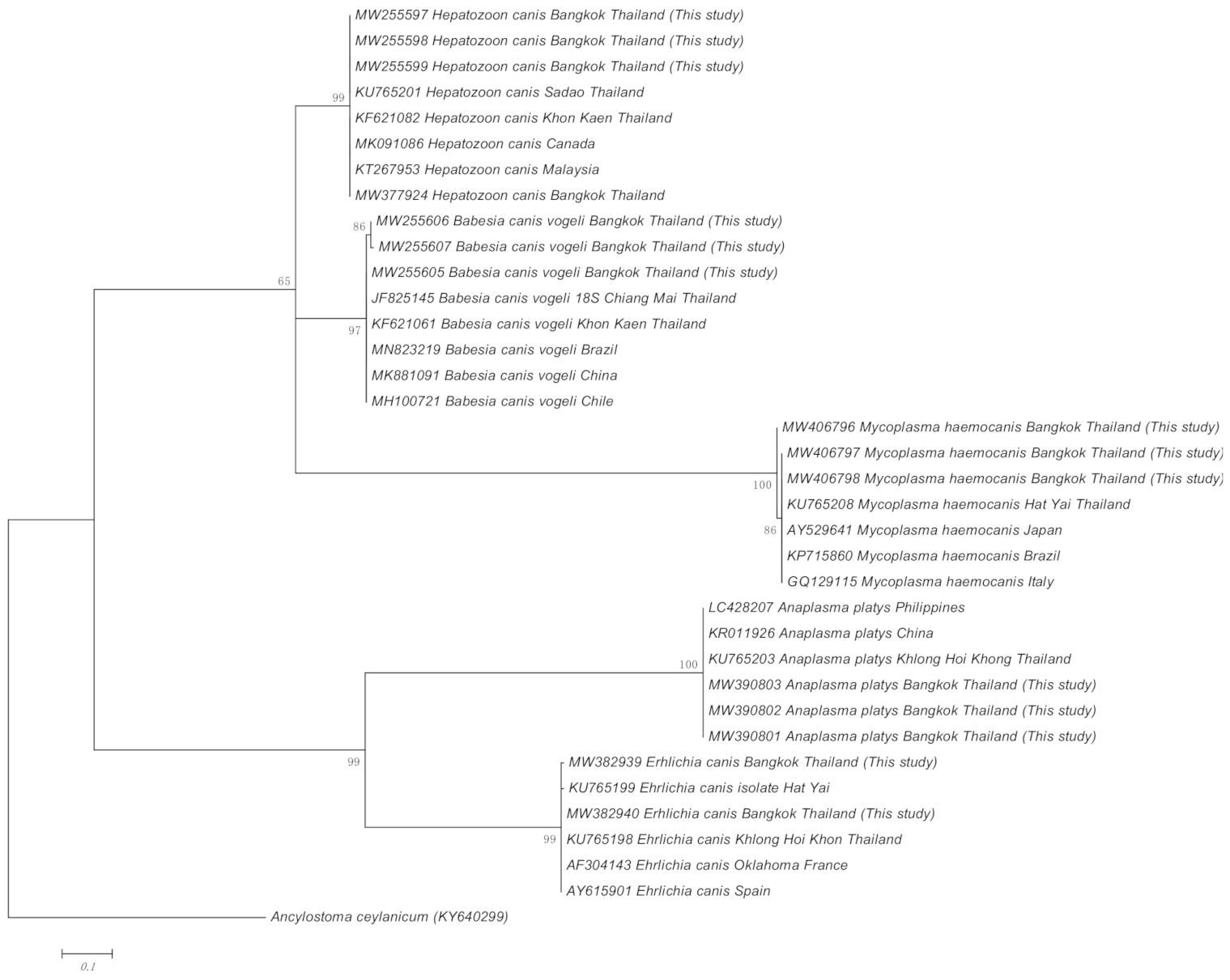 Pathogens 10 00561 g001 Pathogens 10 00561 g001