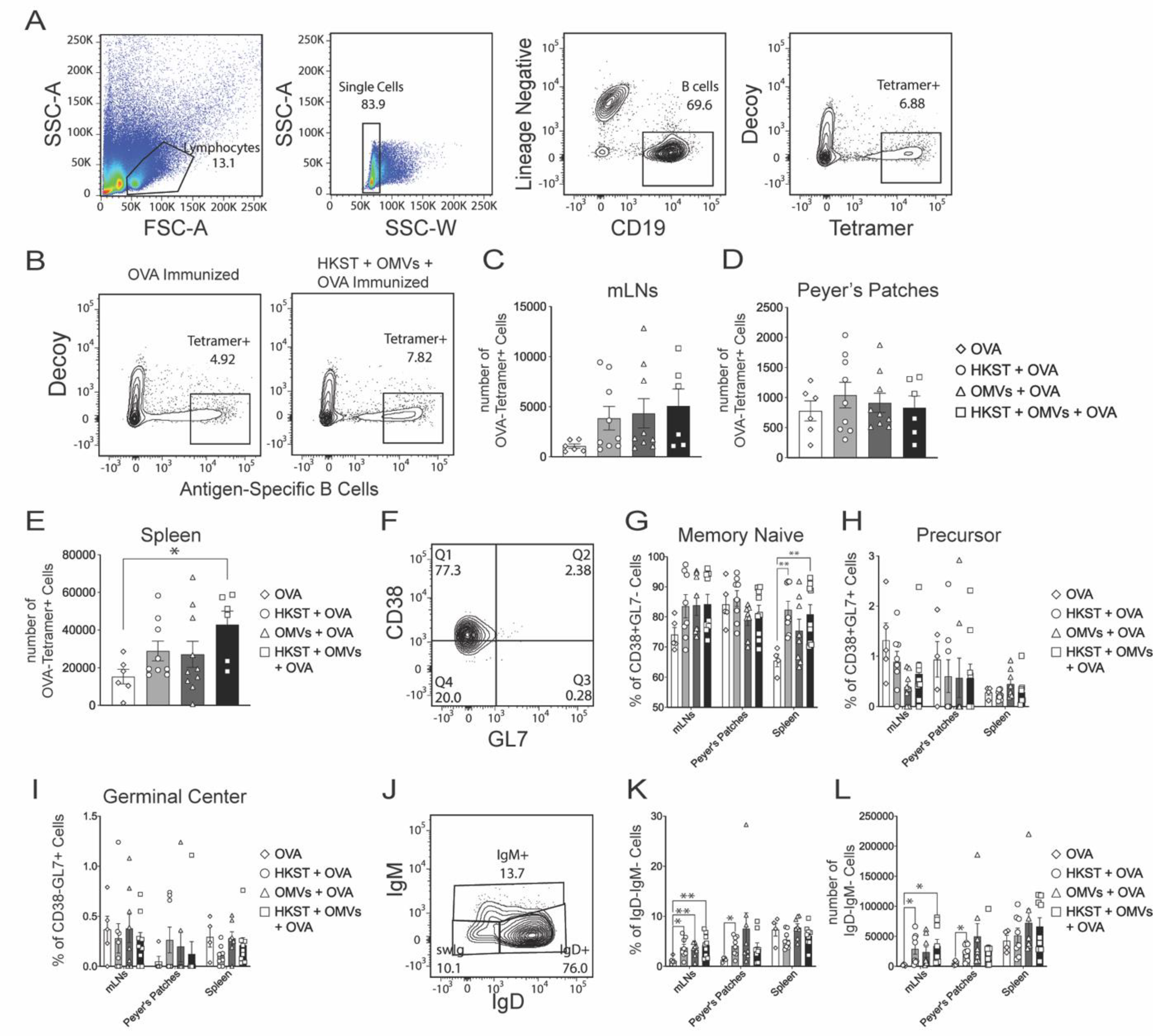 Pathogens 10 00616 g005 Pathogens 10 00616 g005