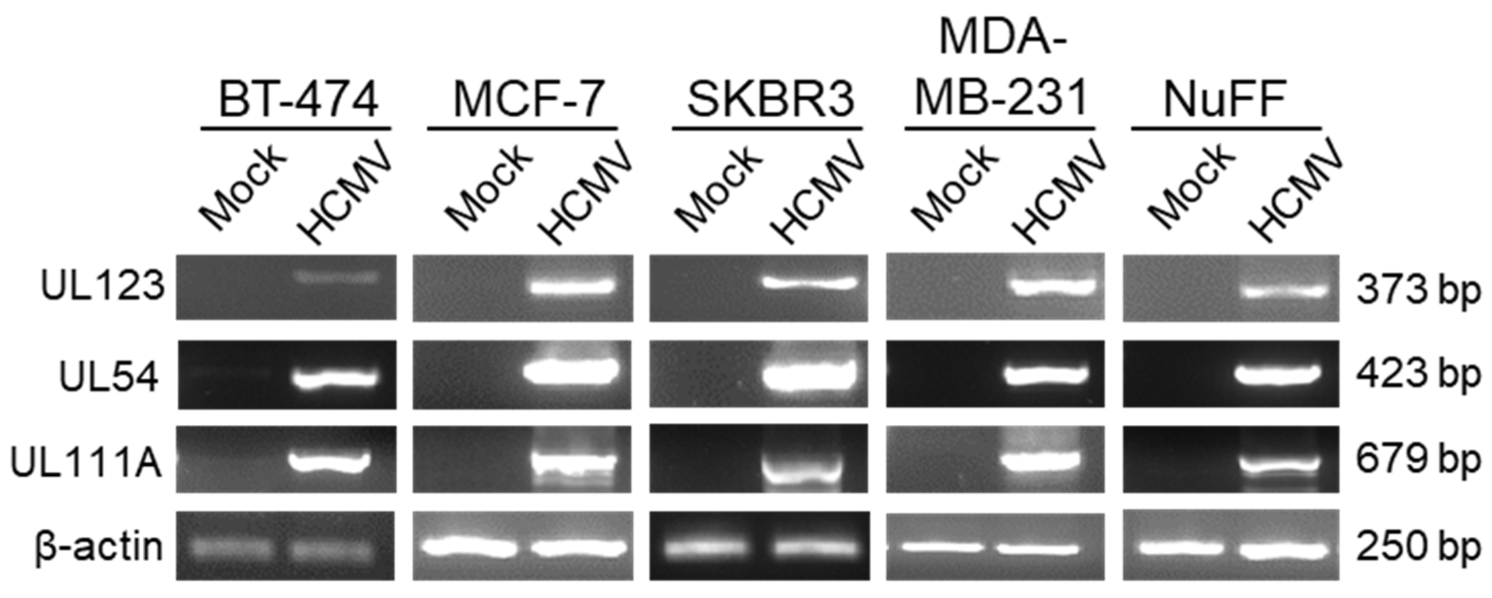 Pathogens 10 00641 g002