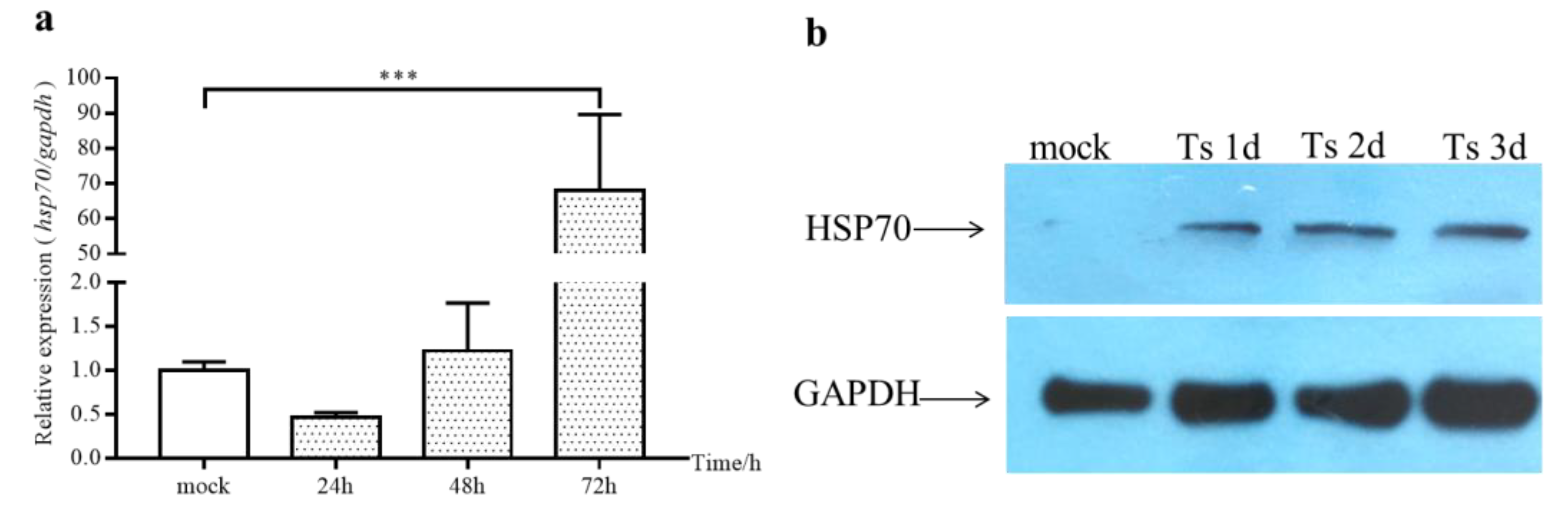Pathogens 10 00664 g002 Pathogens 10 00664 g002